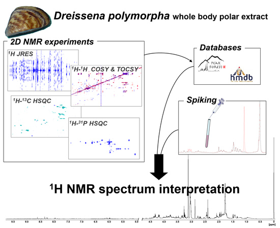 graphical metabolites