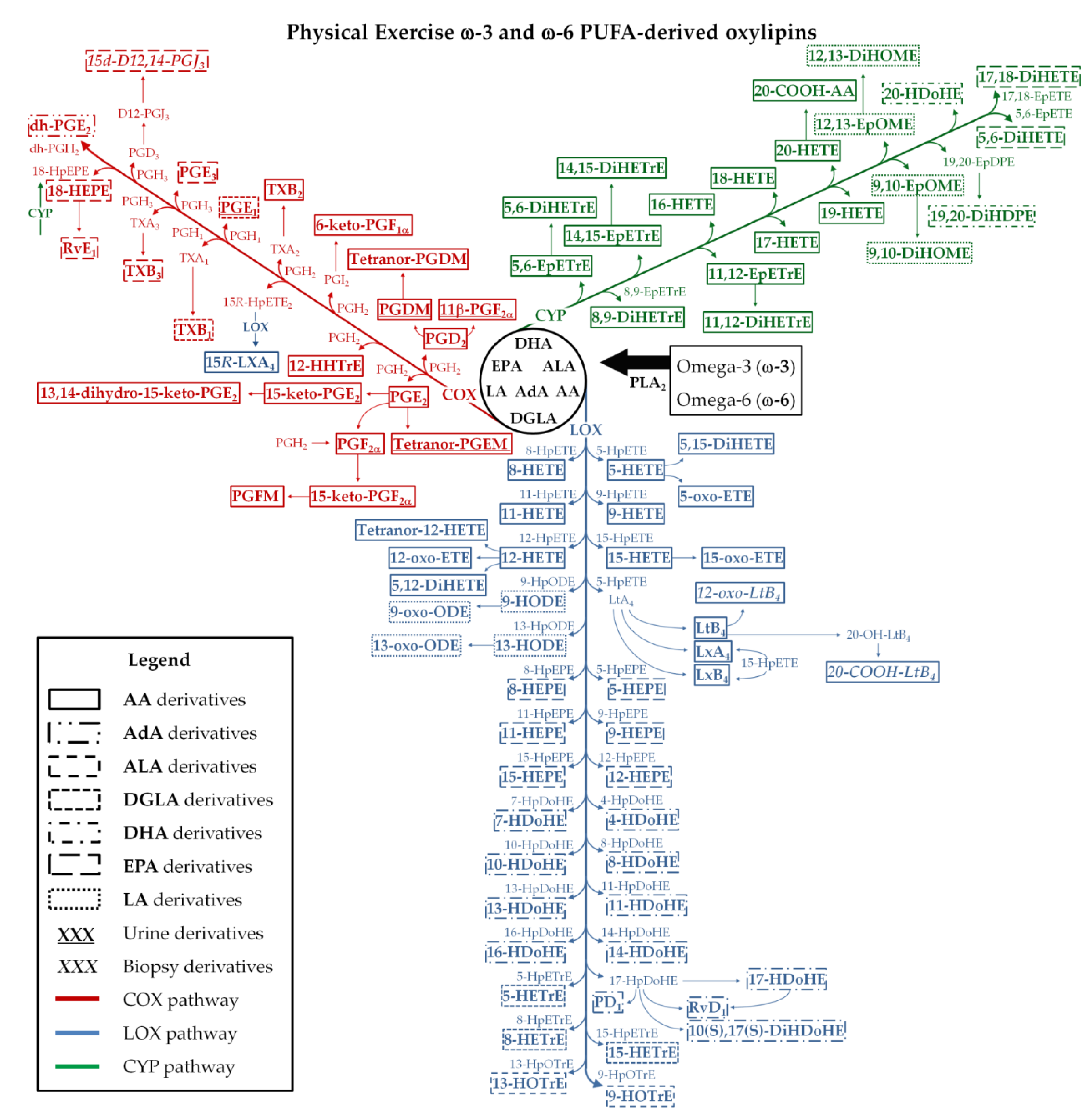 Metabolites 10 00264 g002