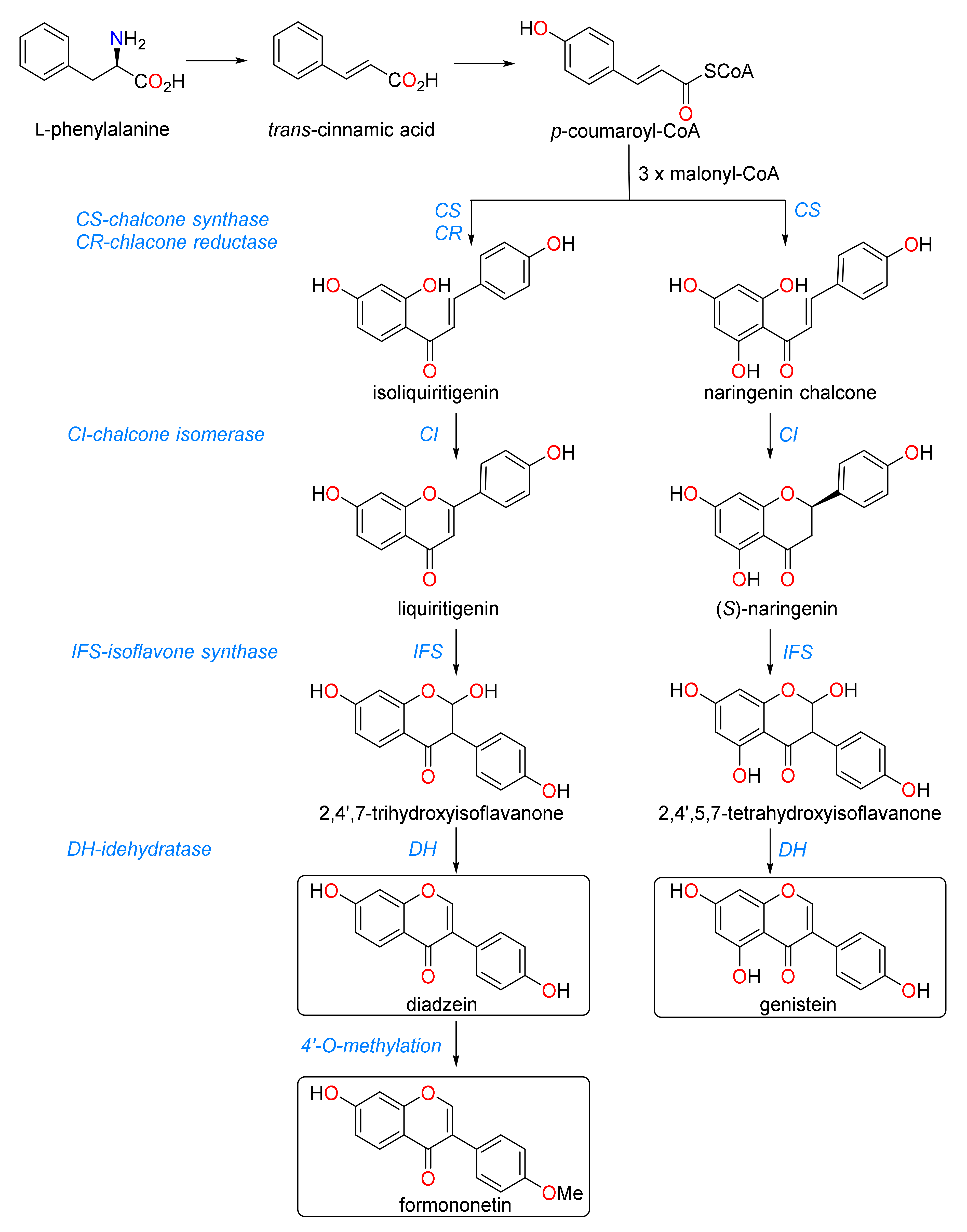Metabolites 10 00267 g004 Metabolites 10 00267 g004