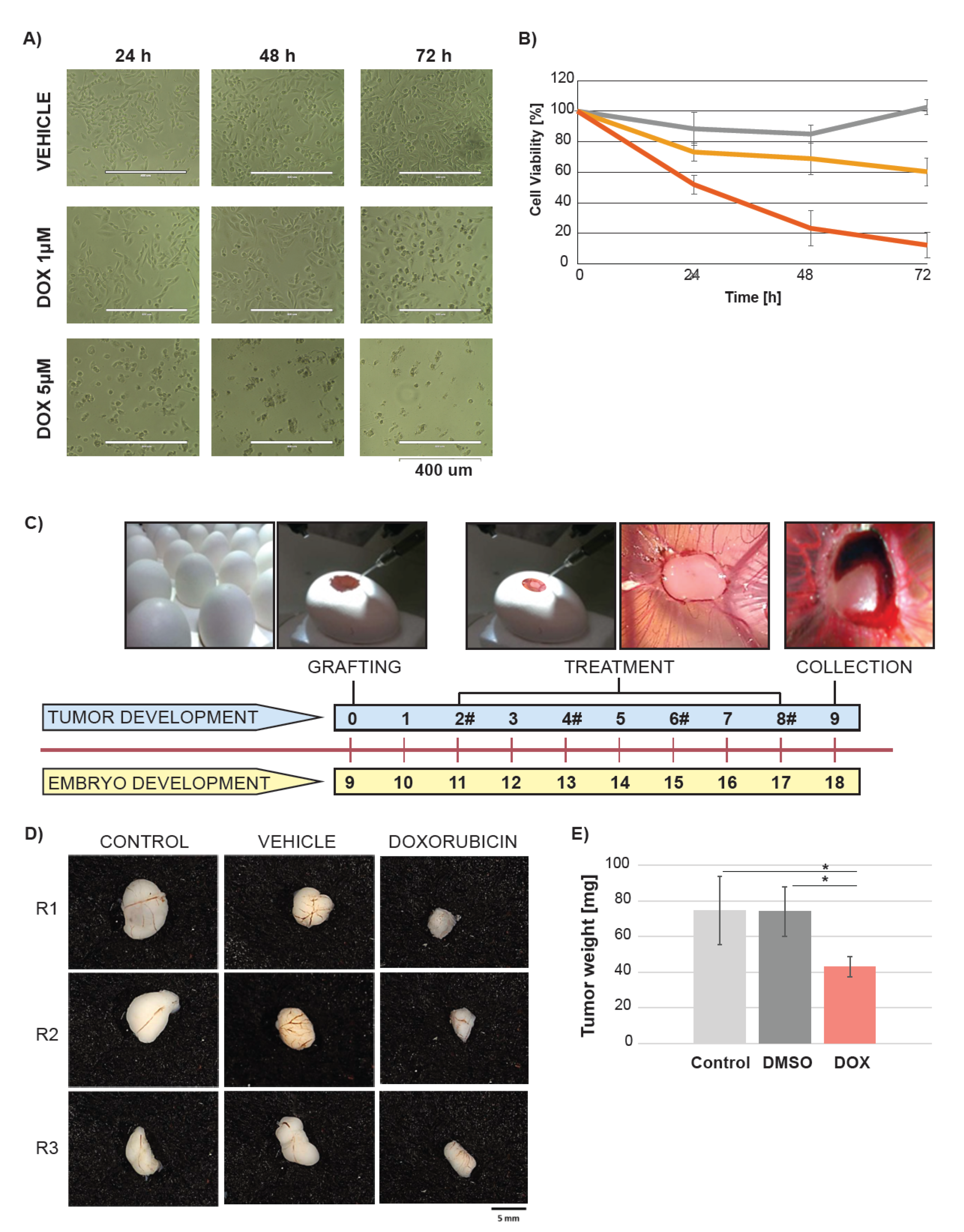 Metabolites 10 00268 g001 Metabolites 10 00268 g001