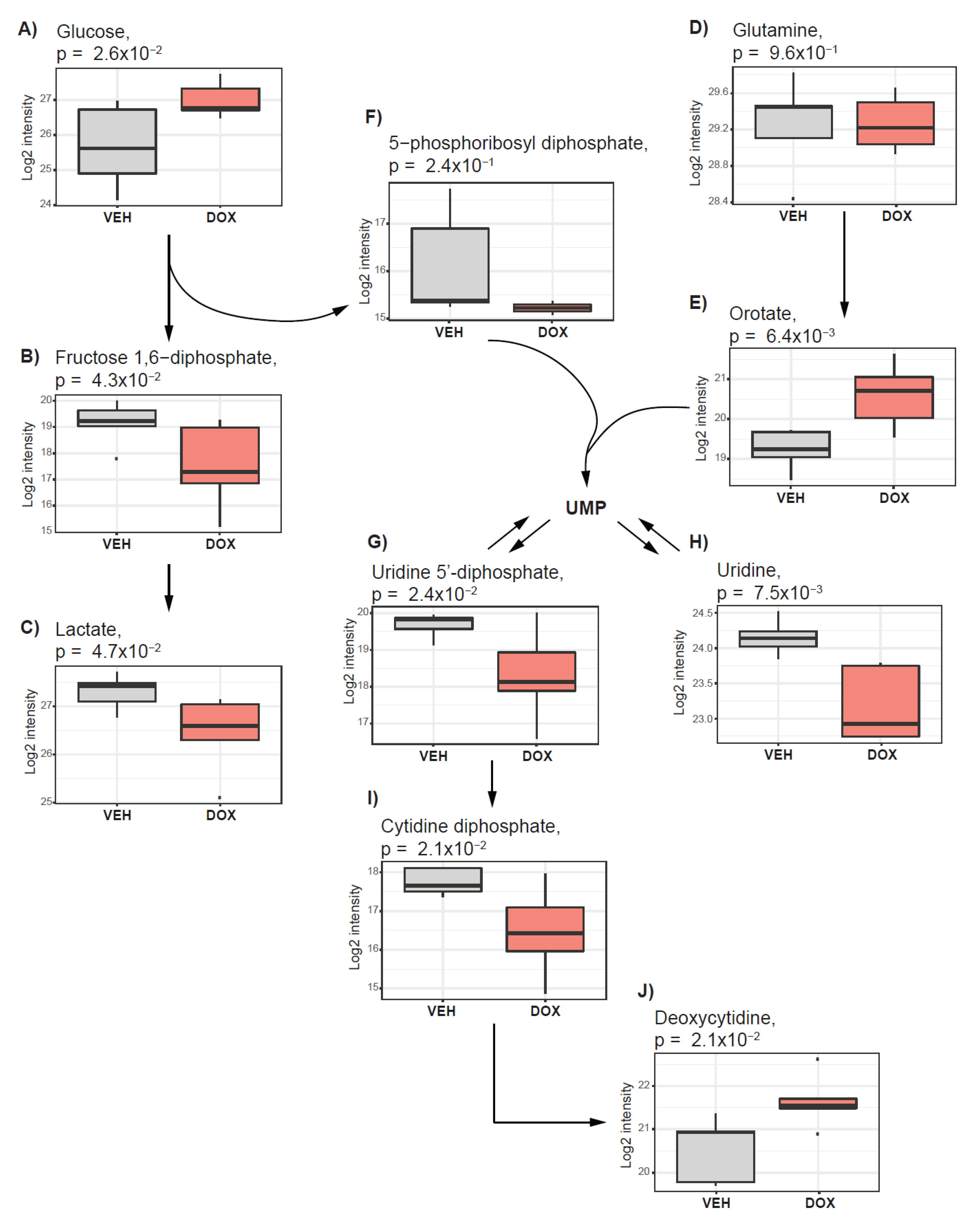 Metabolites 10 00268 g003 Metabolites 10 00268 g003