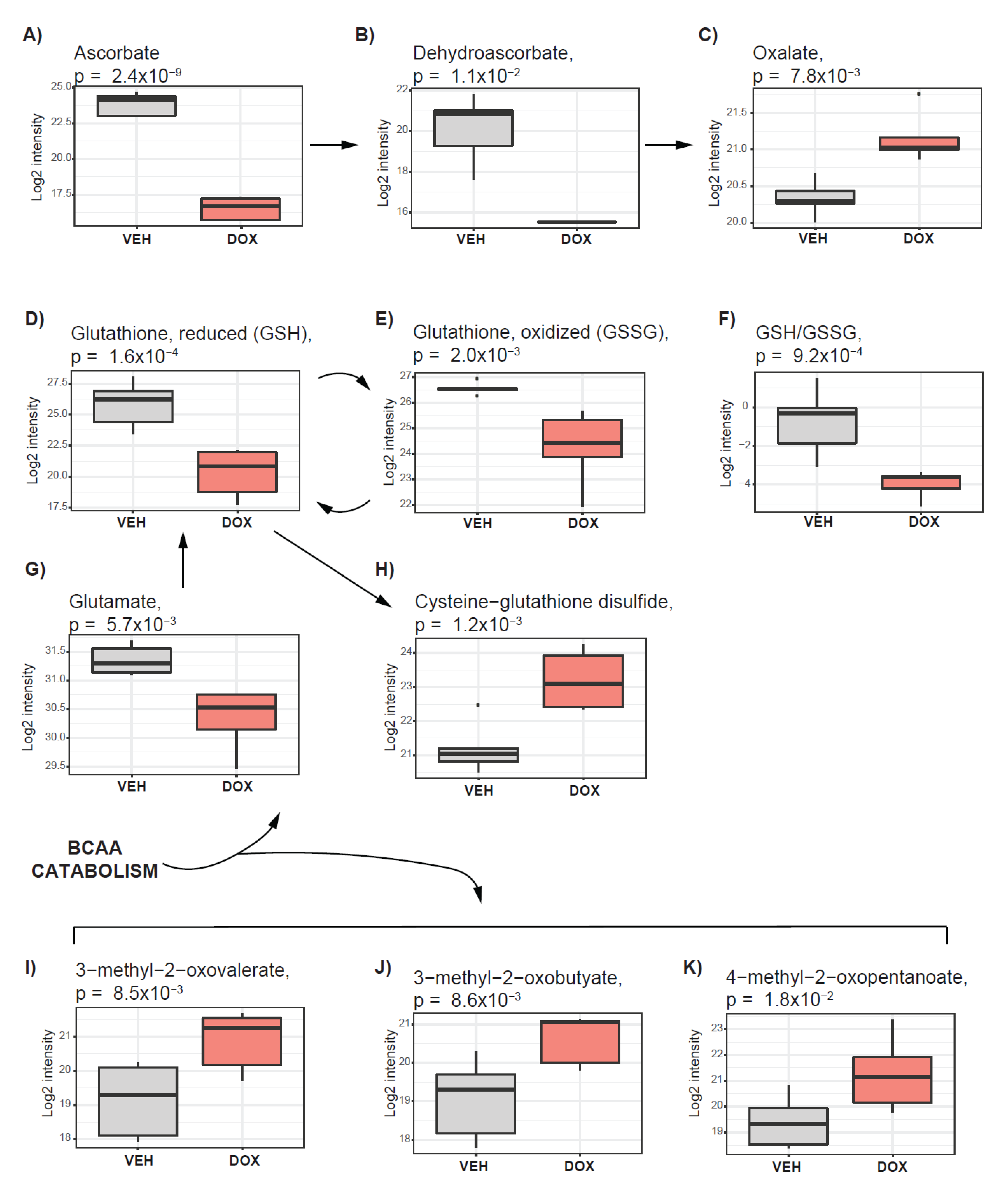 Metabolites 10 00268 g005 Metabolites 10 00268 g005