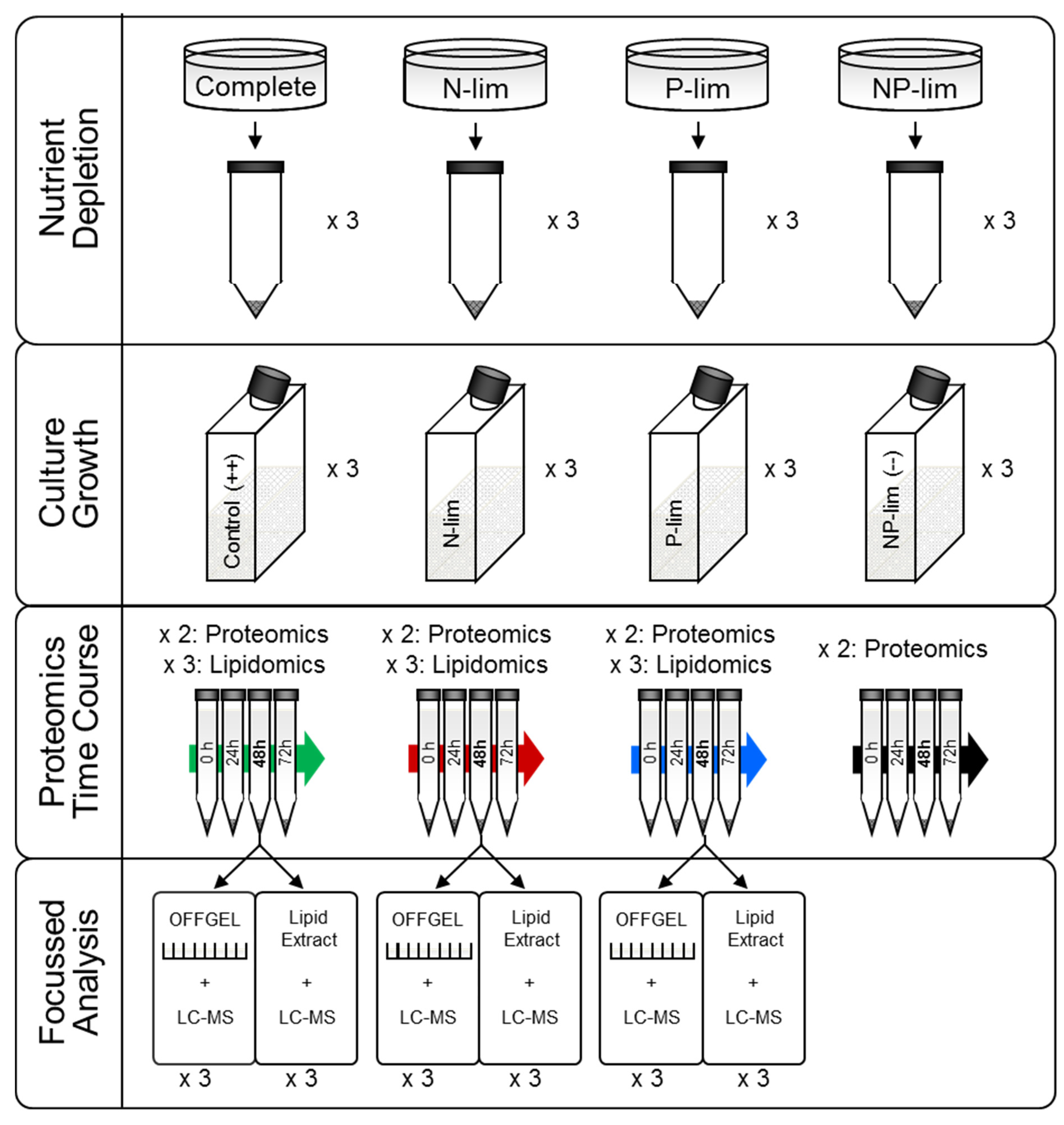 Metabolites 10 00273 g006 Metabolites 10 00273 g006