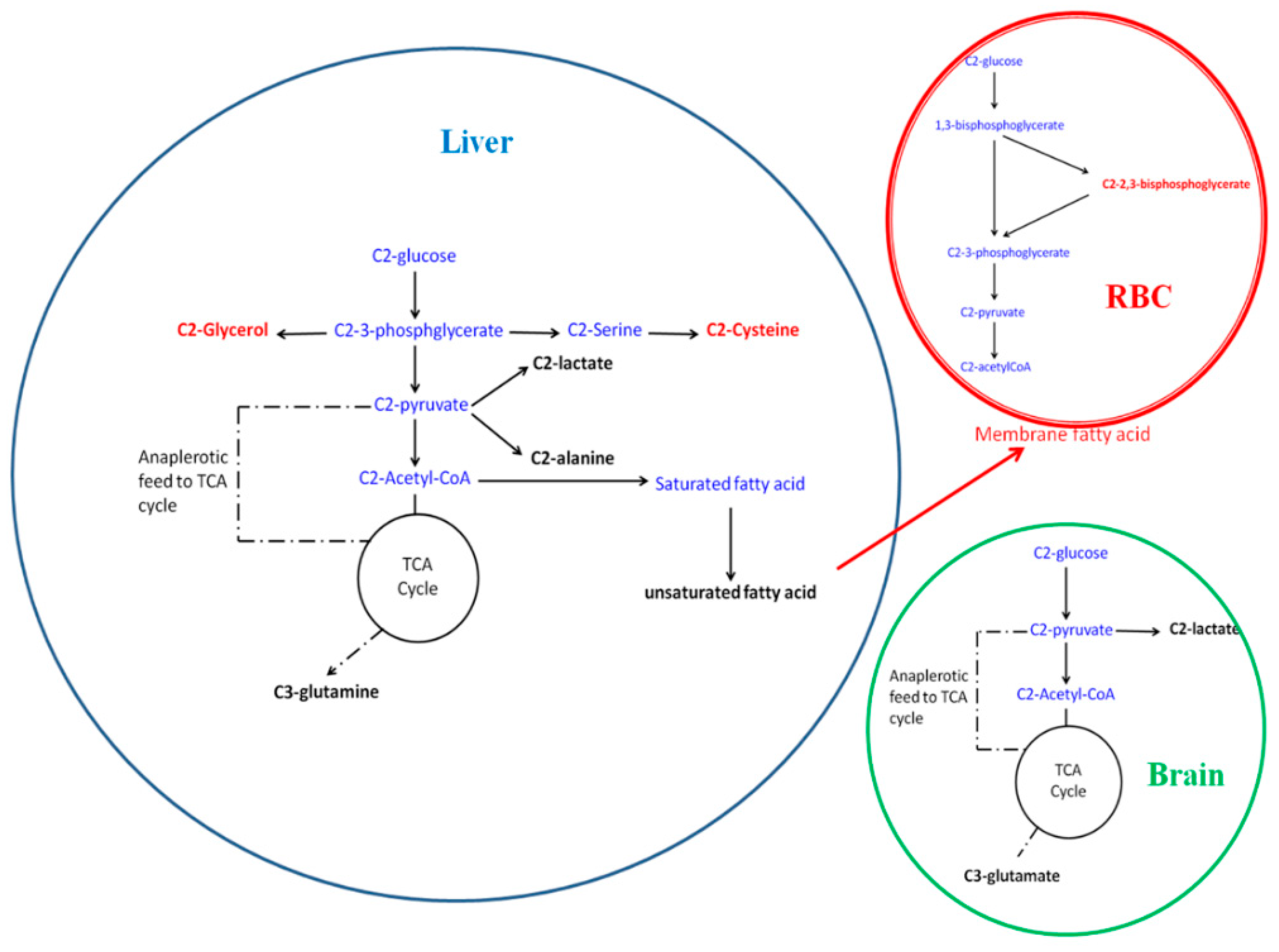Metabolites 10 00277 g005