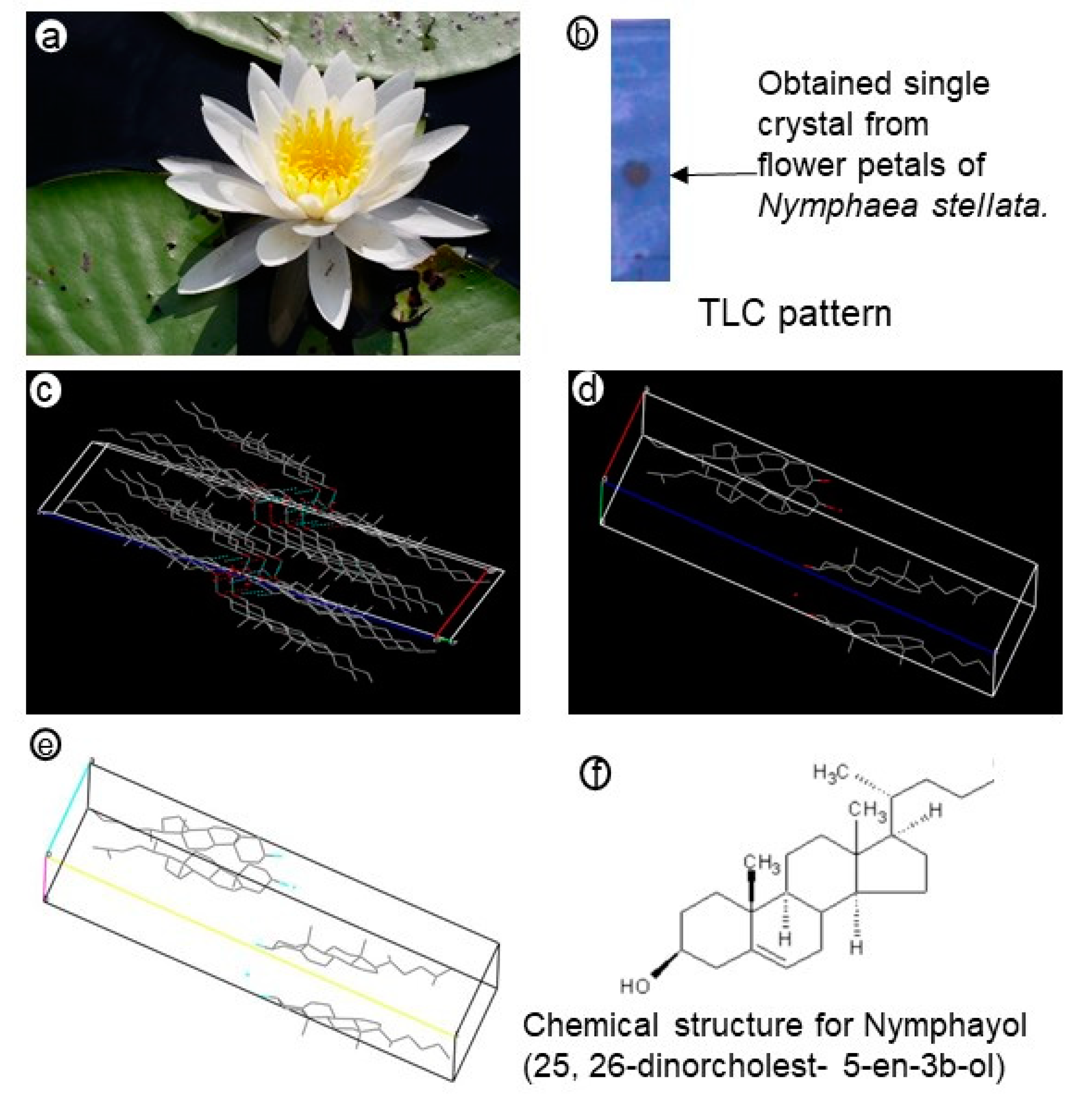 Metabolites 10 00280 g001