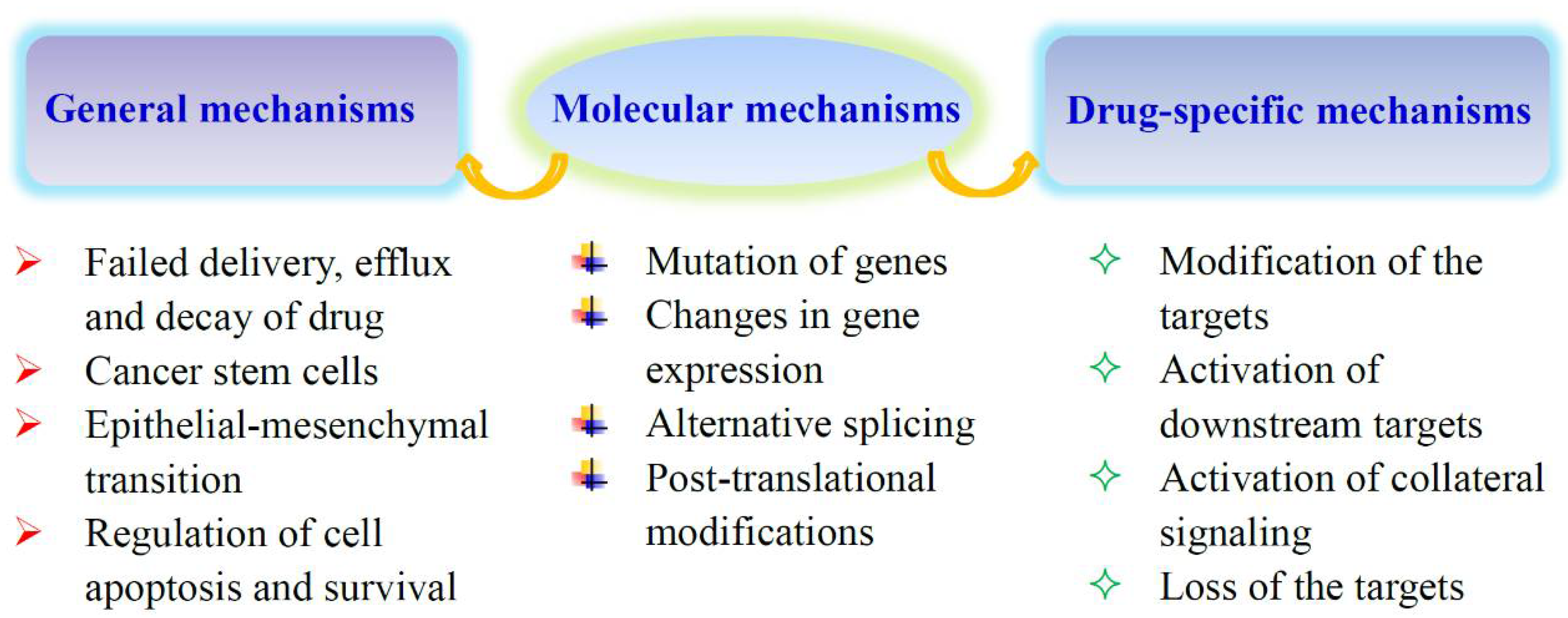 Metabolites 10 00289 g001