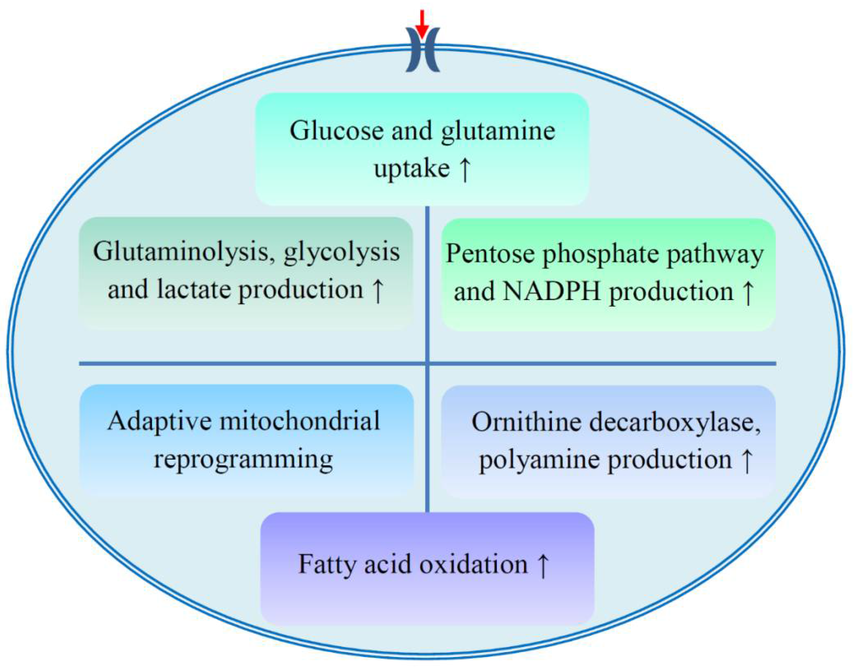 Metabolites 10 00289 g002