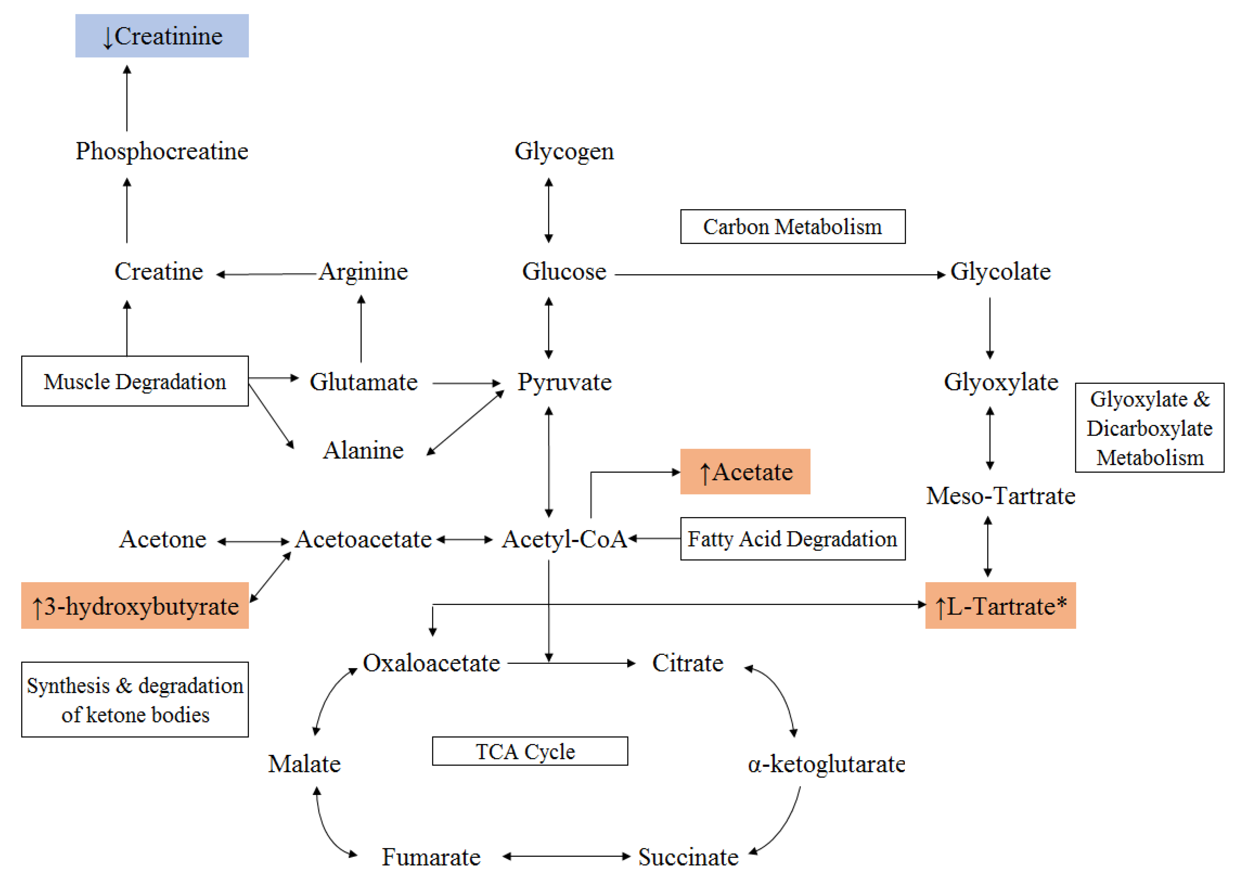 Metabolites 10 00291 g003