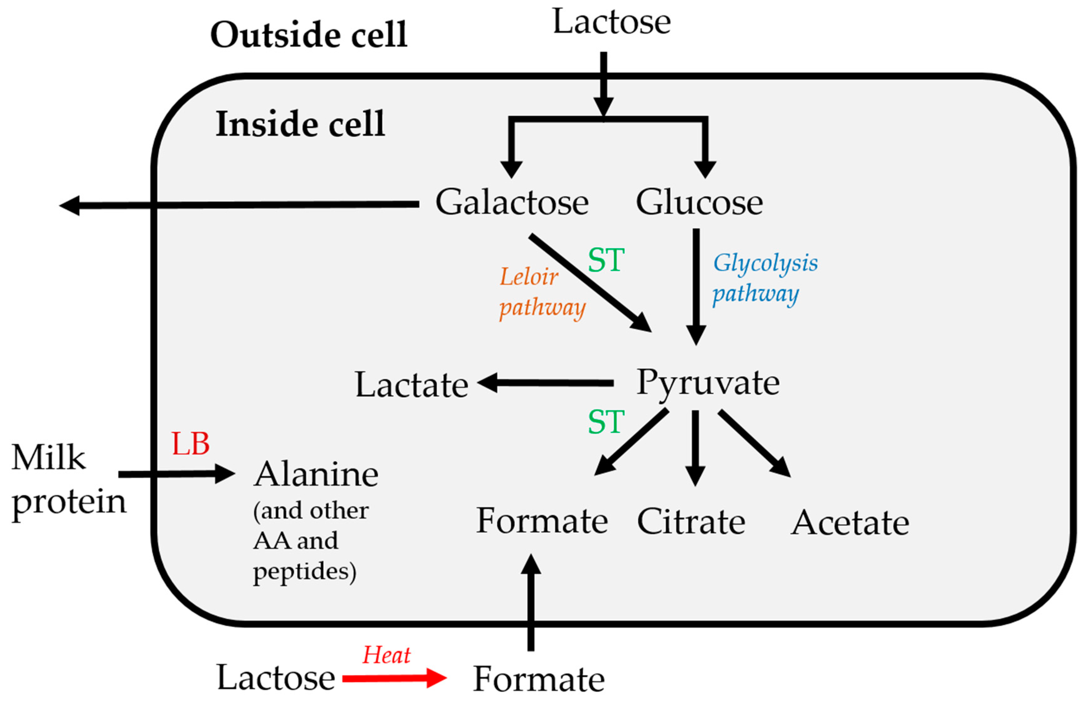 Metabolites 10 00293 g005