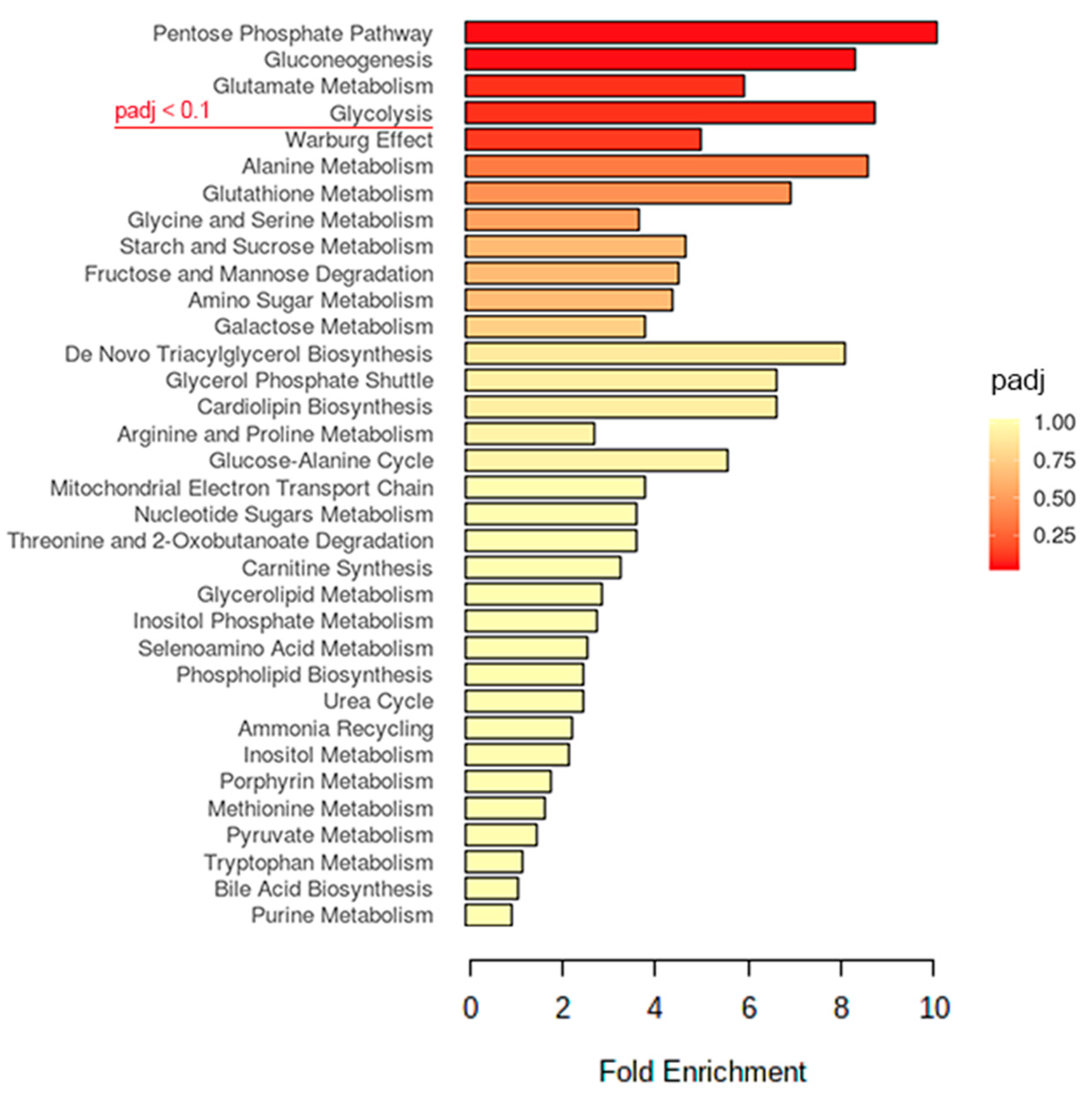Metabolites 10 00302 g002