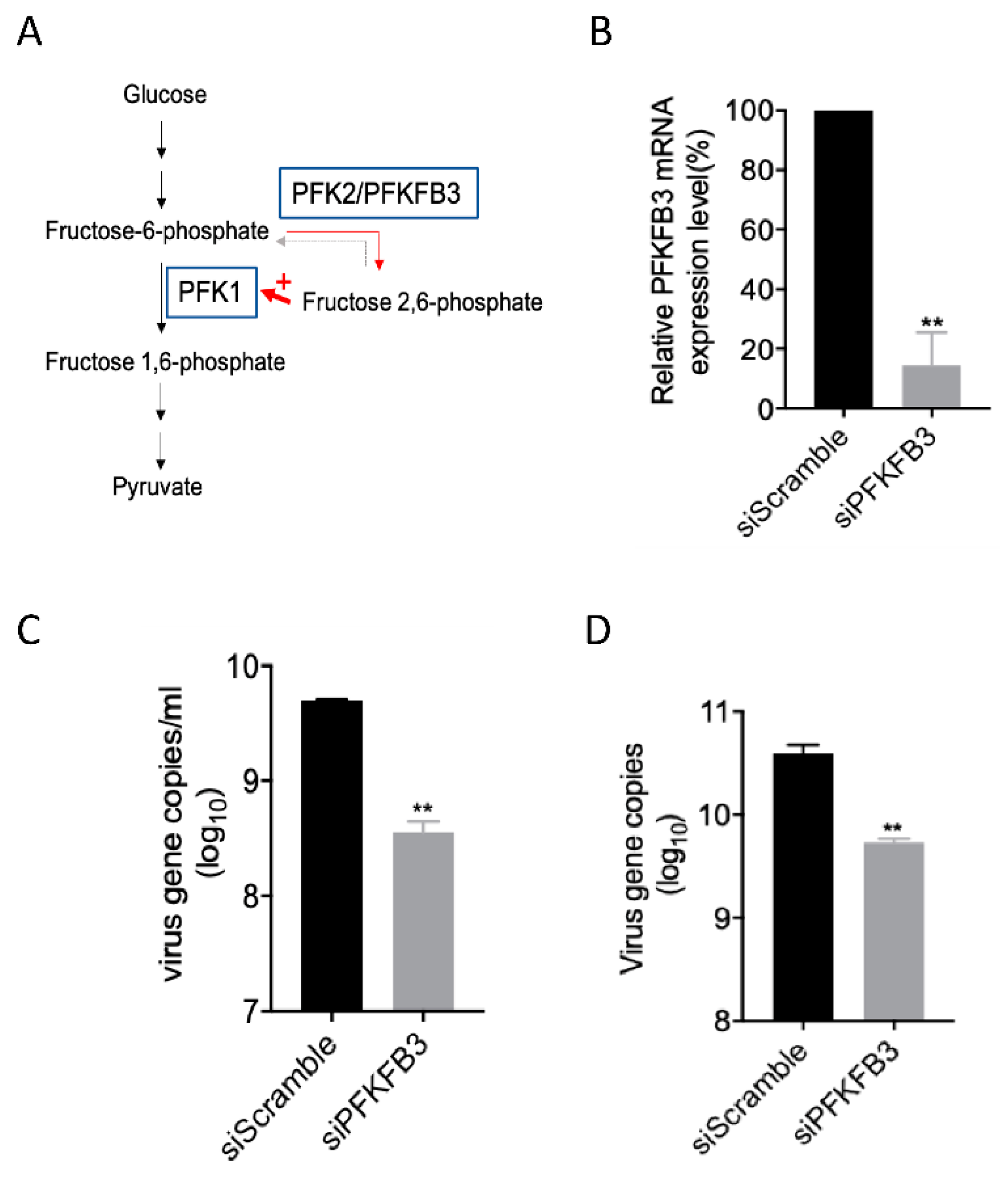 Metabolites 10 00302 g004