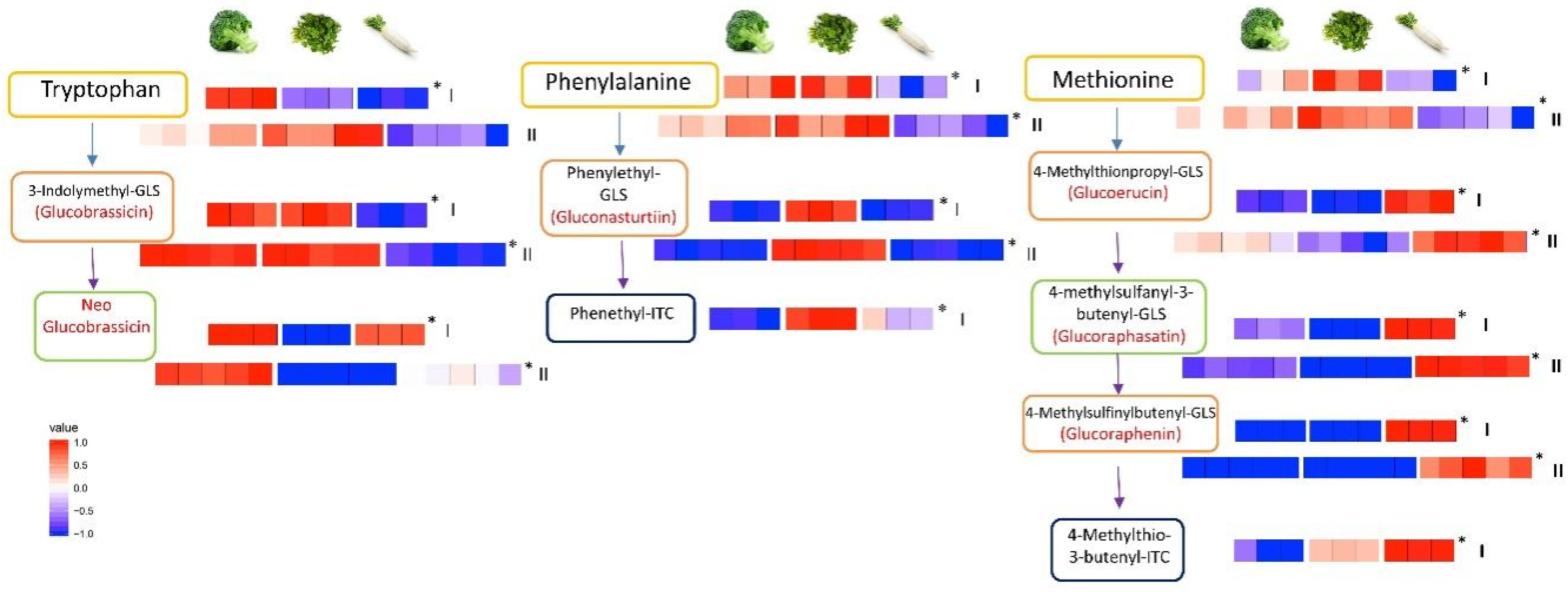 Metabolites 10 00313 g004
