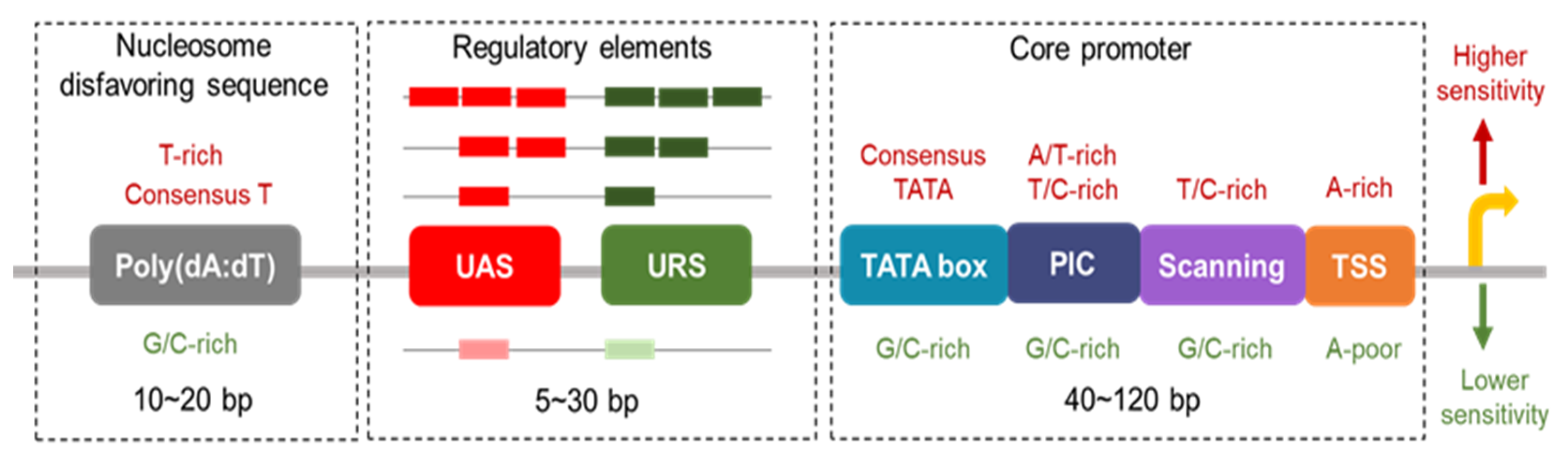 Metabolites 10 00320 g001 Metabolites 10 00320 g001