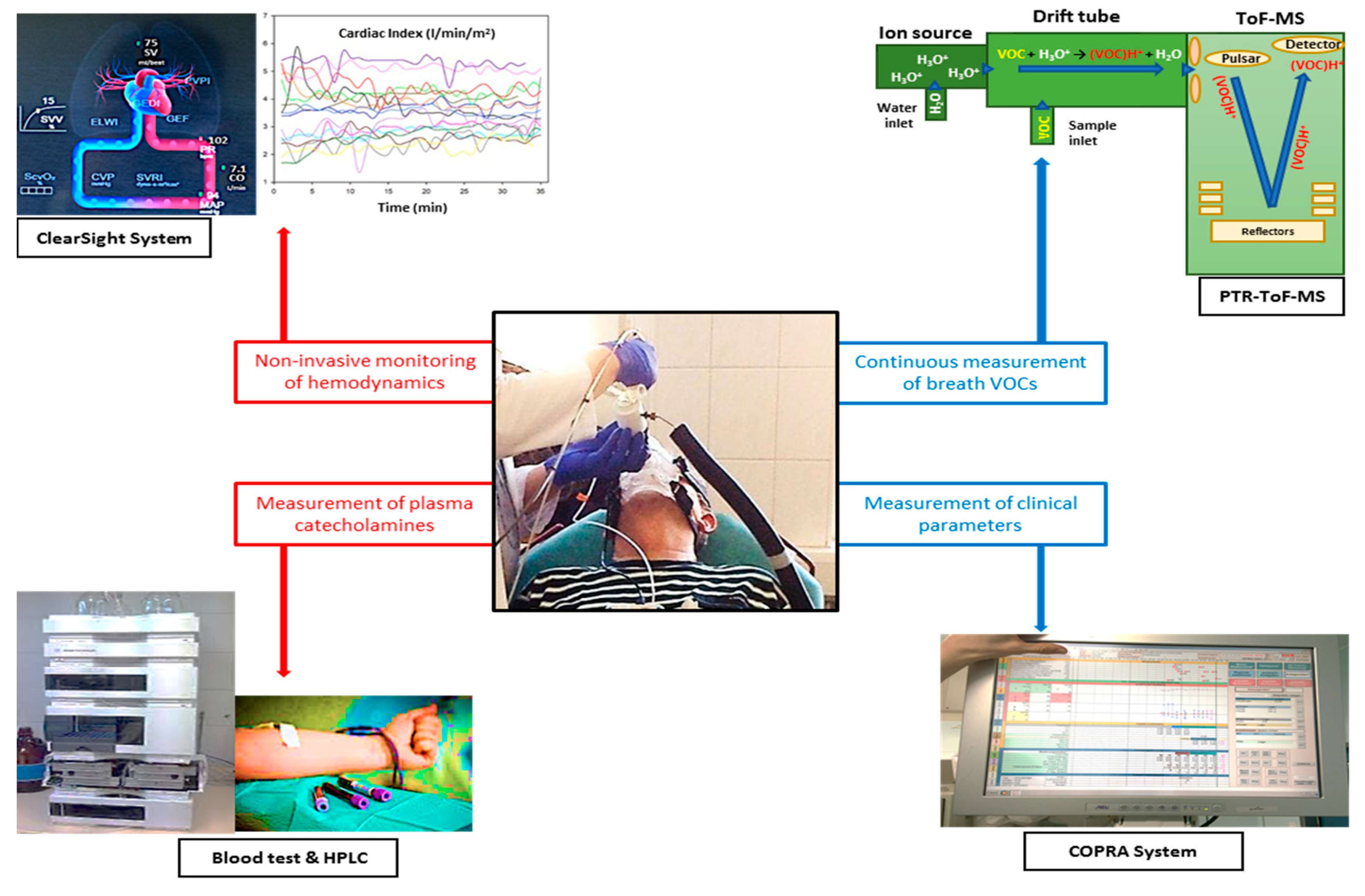 Metabolites 10 00321 g002 Metabolites 10 00321 g002