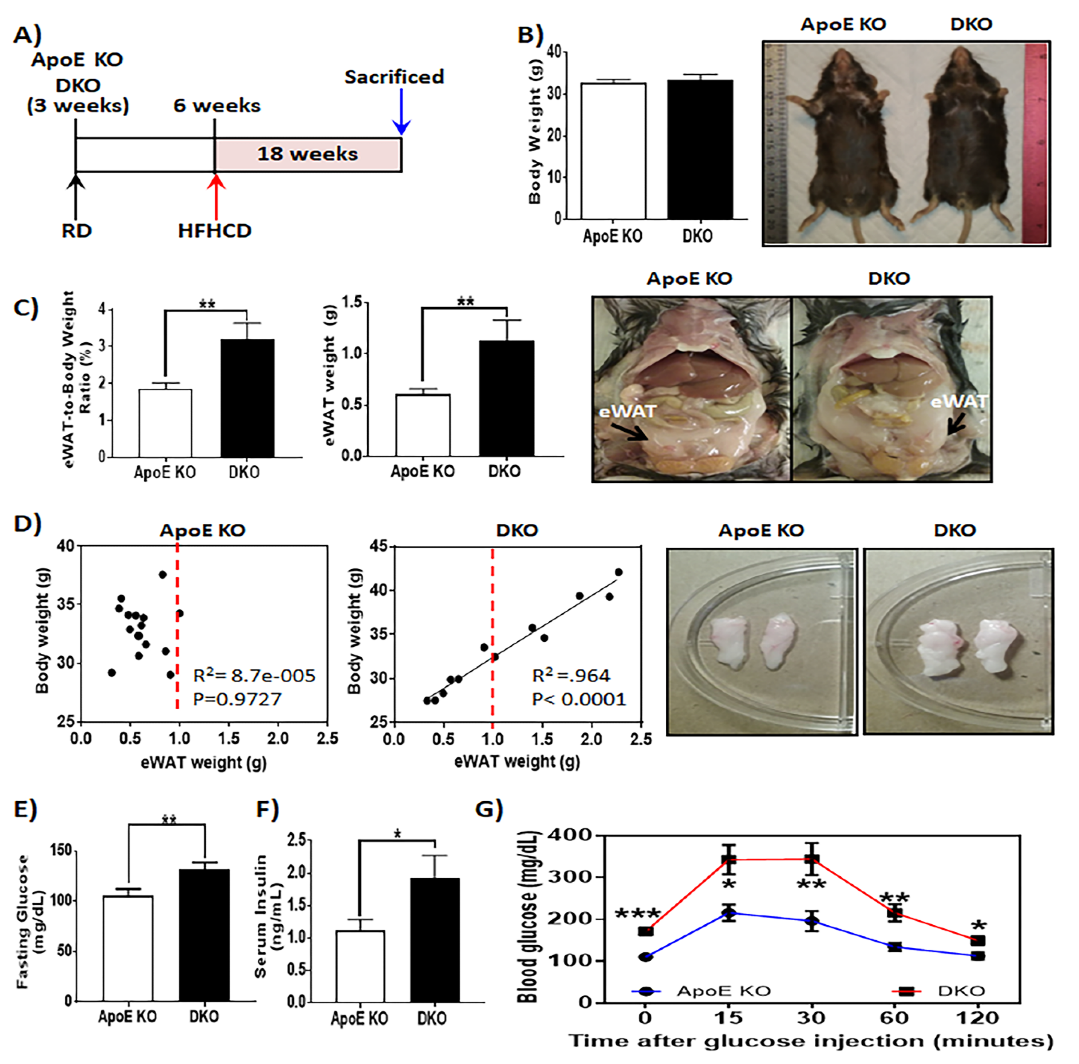 Metabolites 10 00326 g001