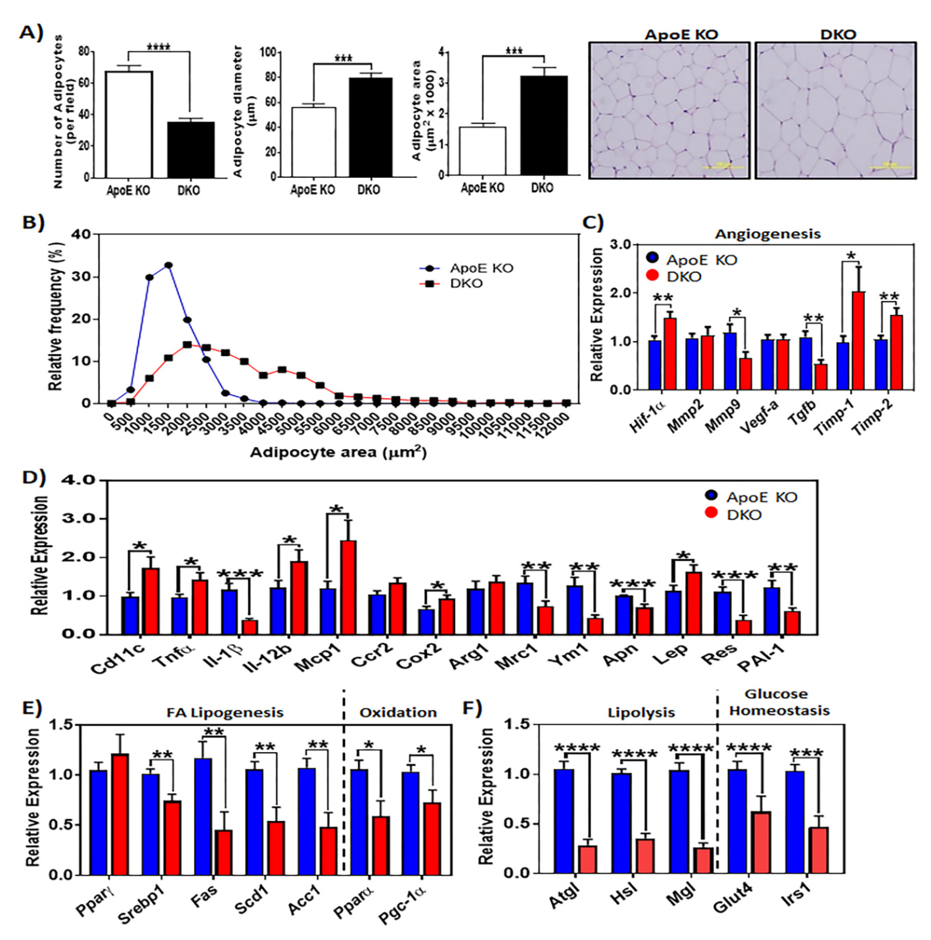 Metabolites 10 00326 g002