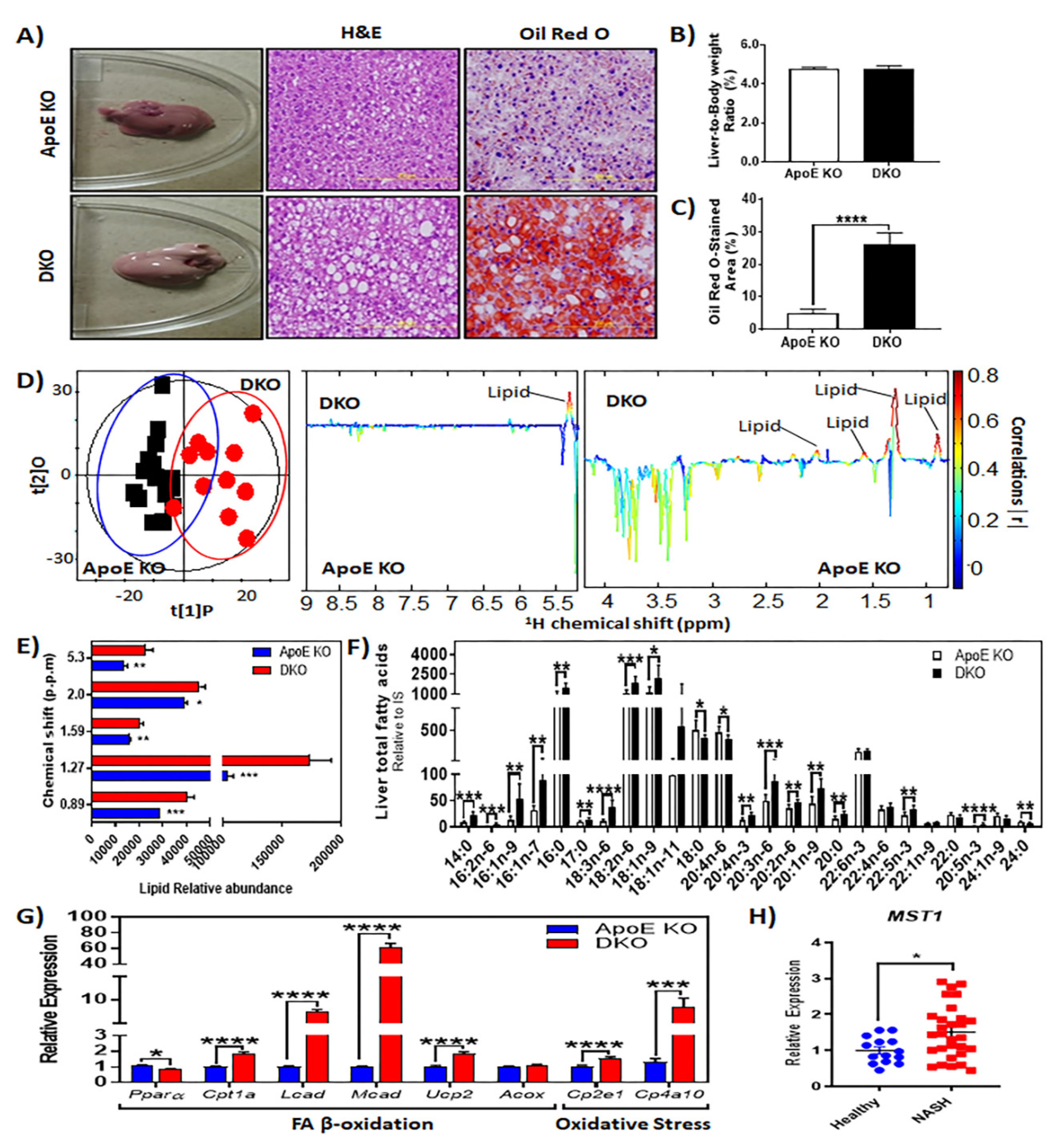 Metabolites 10 00326 g003