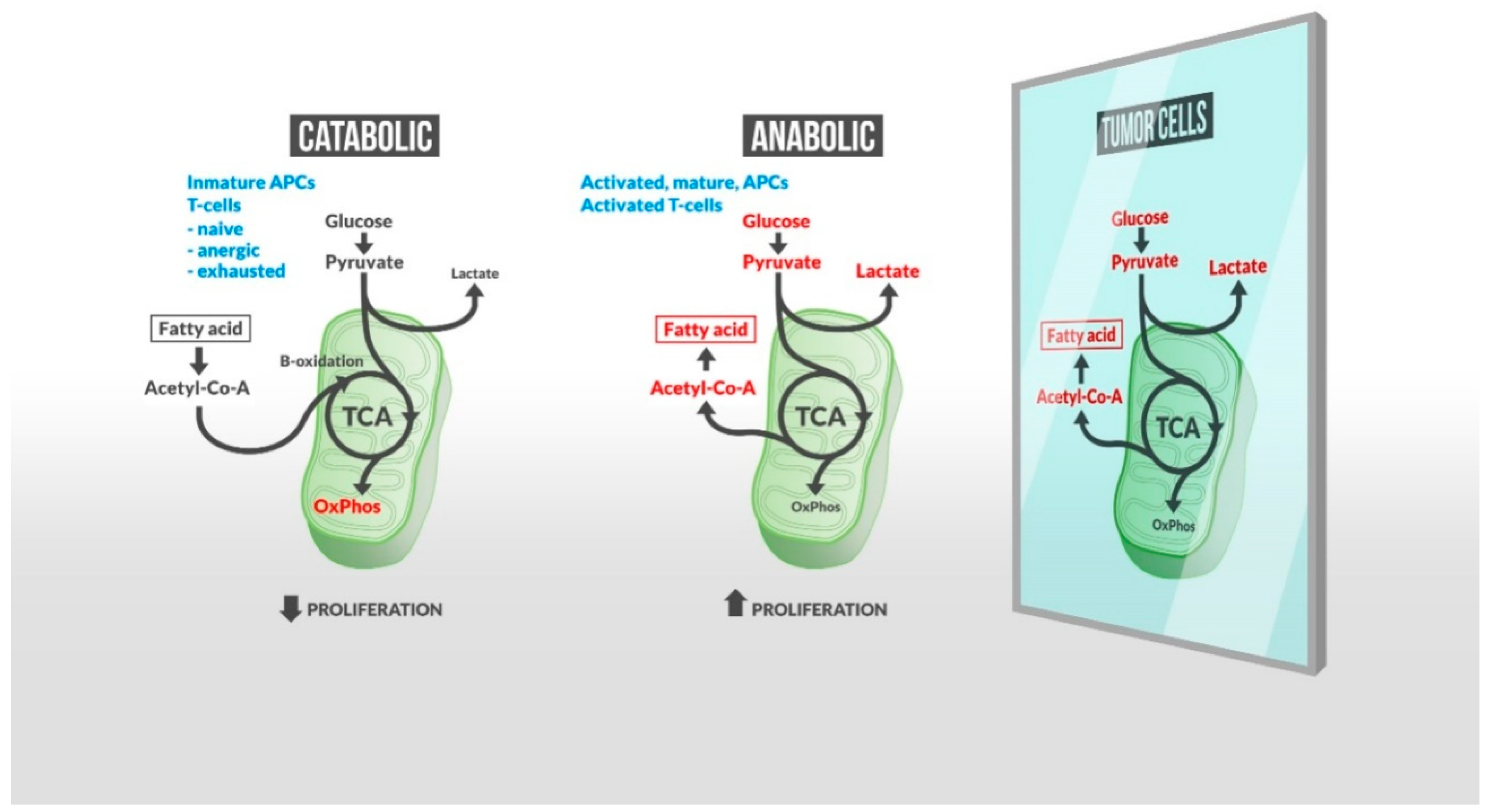 Metabolites 10 00332 g001 Metabolites 10 00332 g001