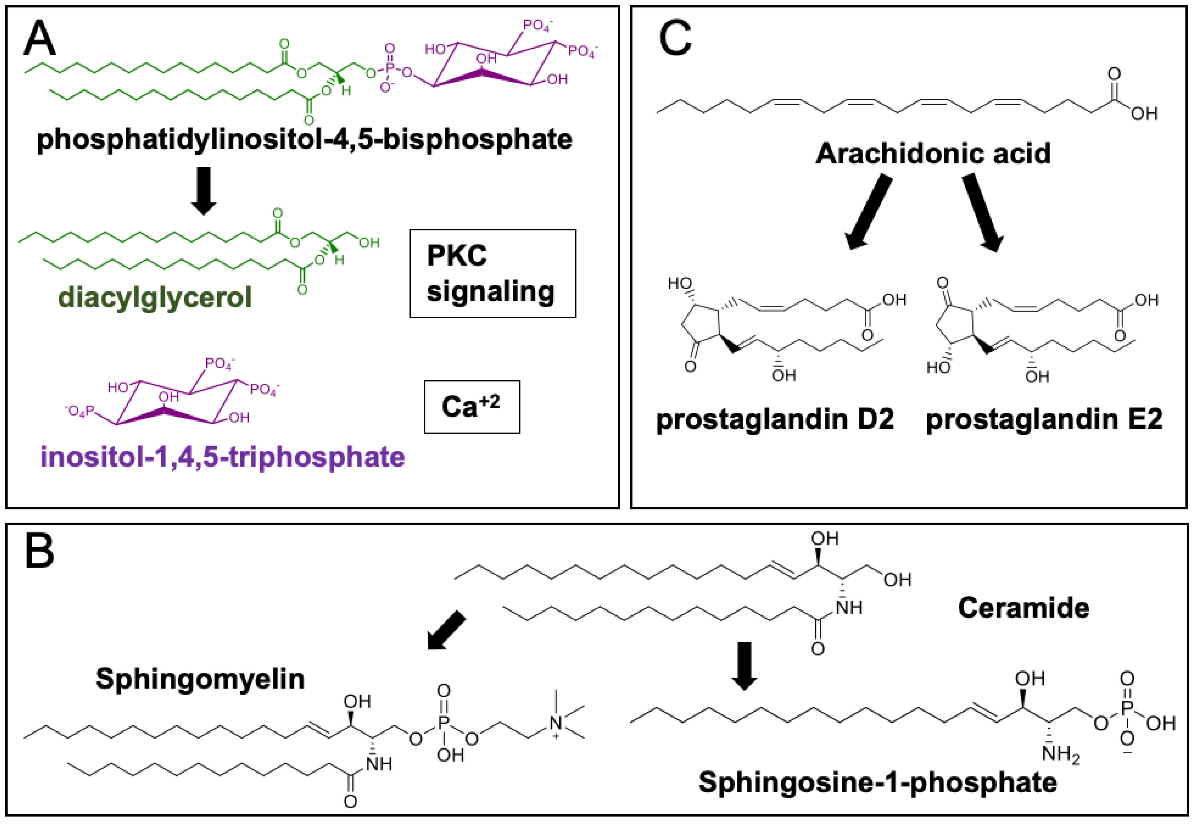 Metabolites 10 00339 g002 Metabolites 10 00339 g002