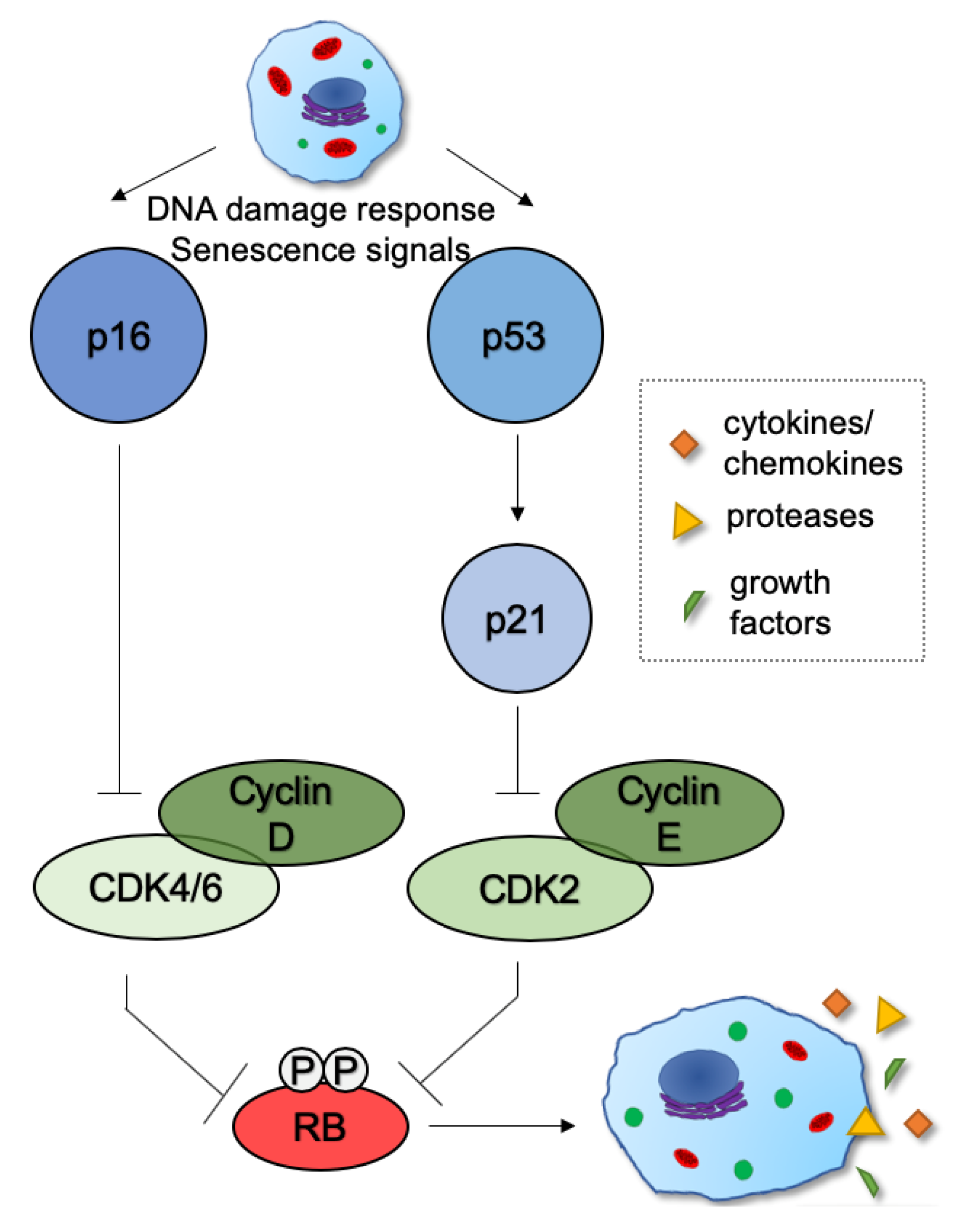 Metabolites 10 00339 g003 Metabolites 10 00339 g003