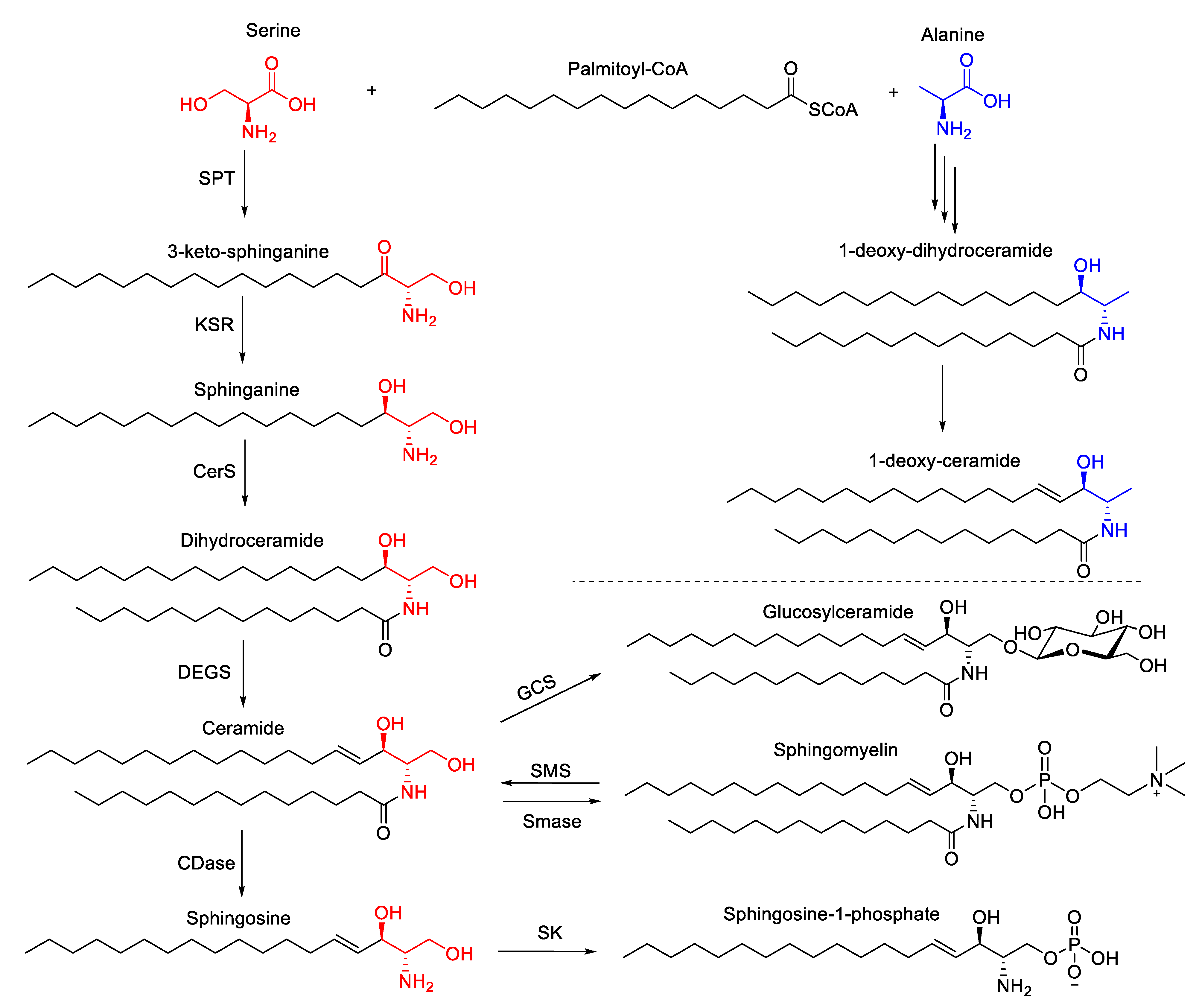 Metabolites 10 00339 g004 Metabolites 10 00339 g004