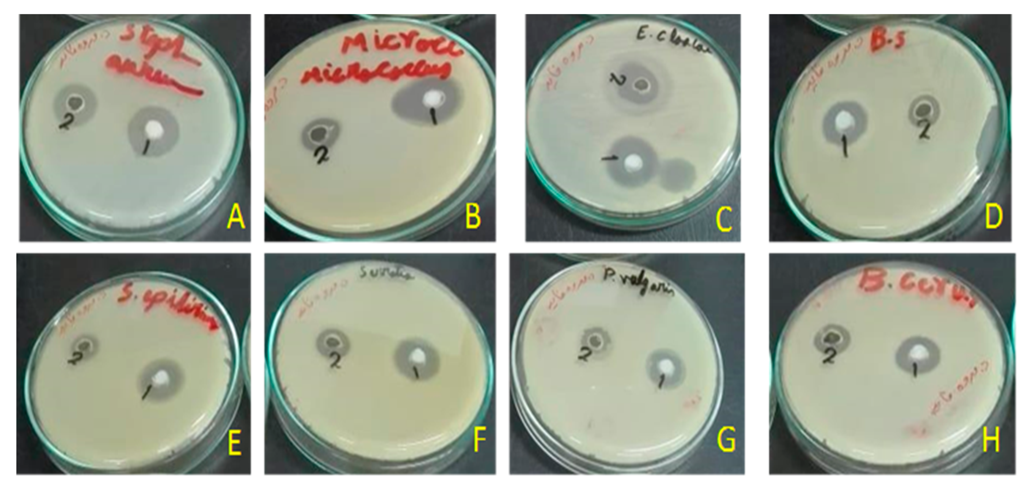 Metabolites 10 00353 g003 Metabolites 10 00353 g003
