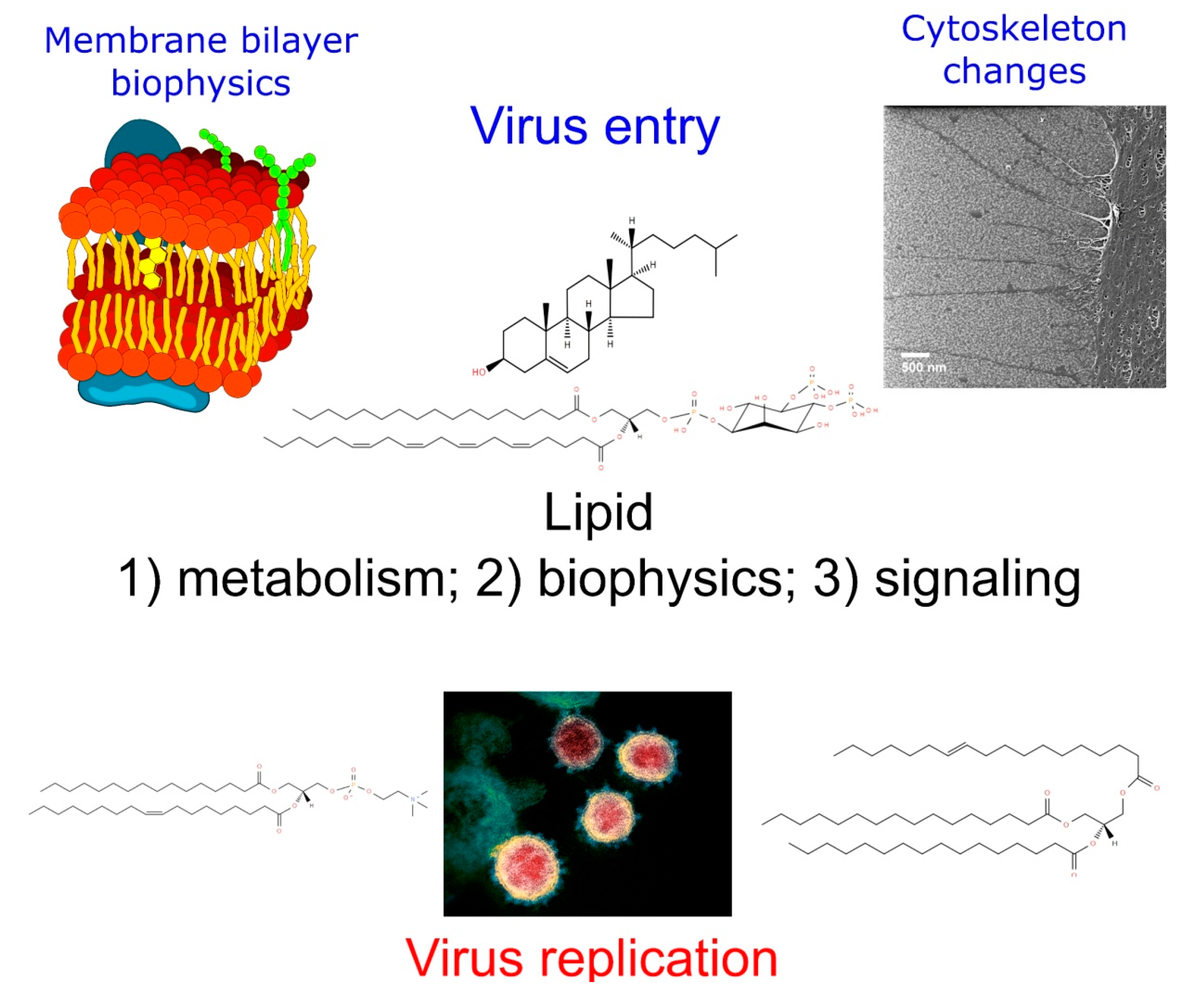 Metabolites 10 00356 g003