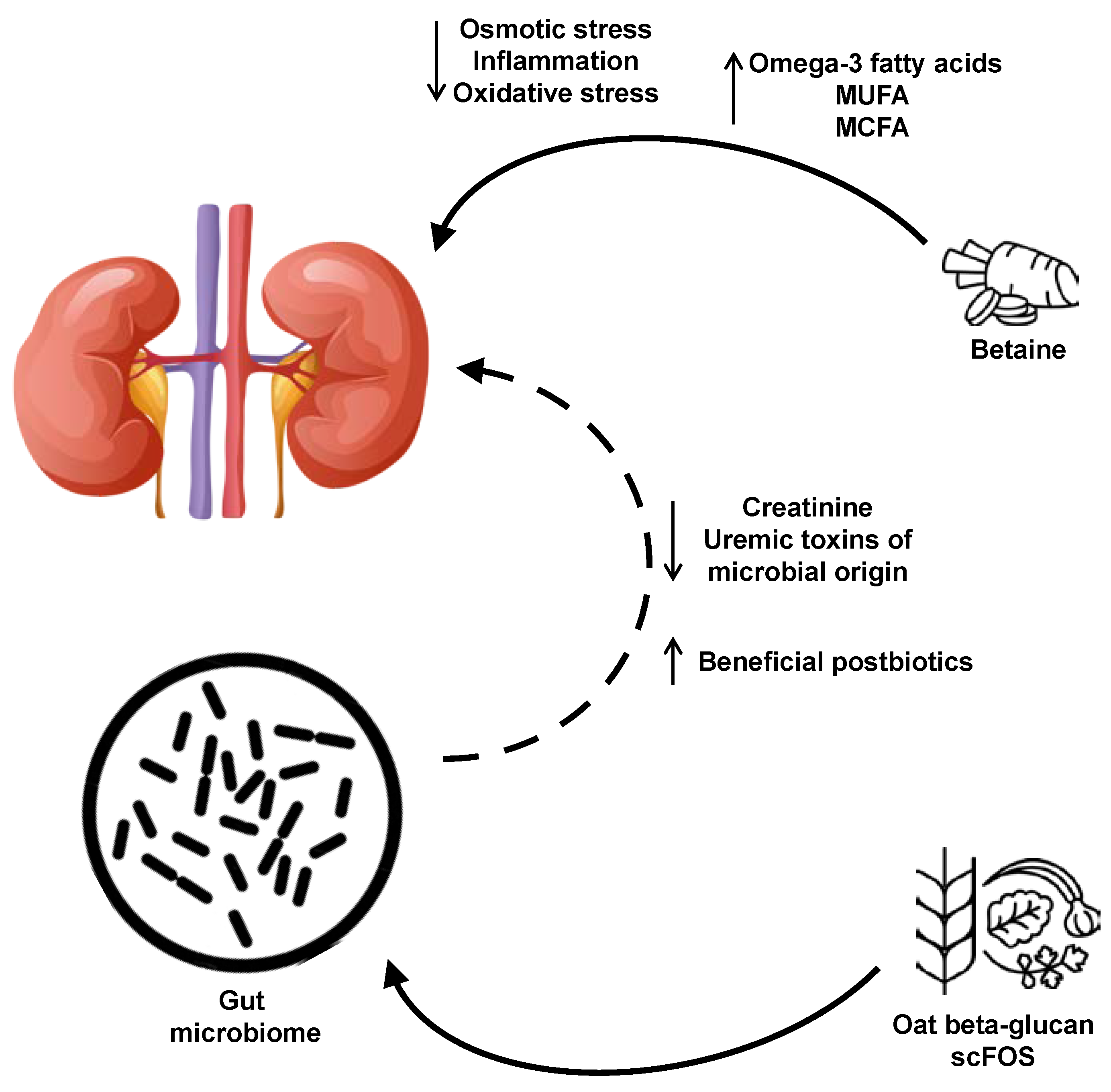 Metabolites 10 00370 g004