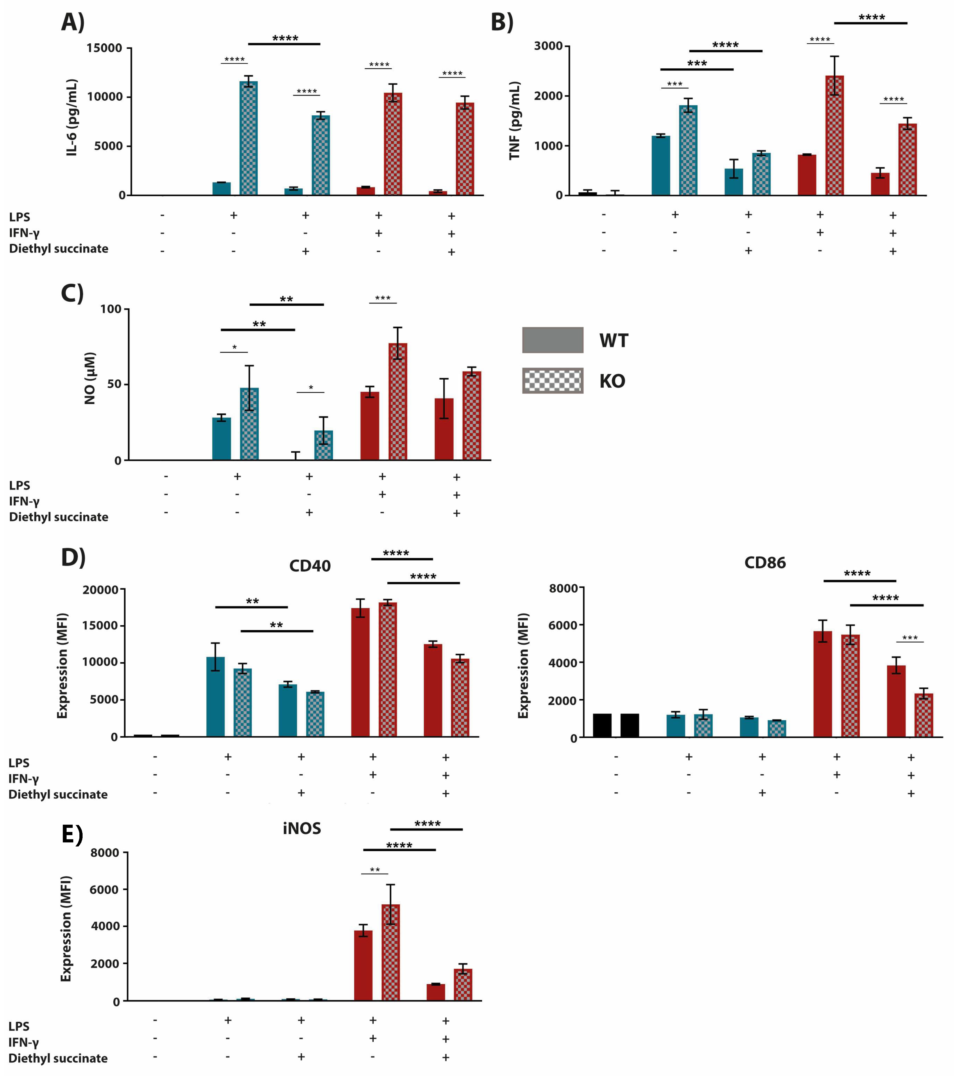 Metabolites 10 00372 g004