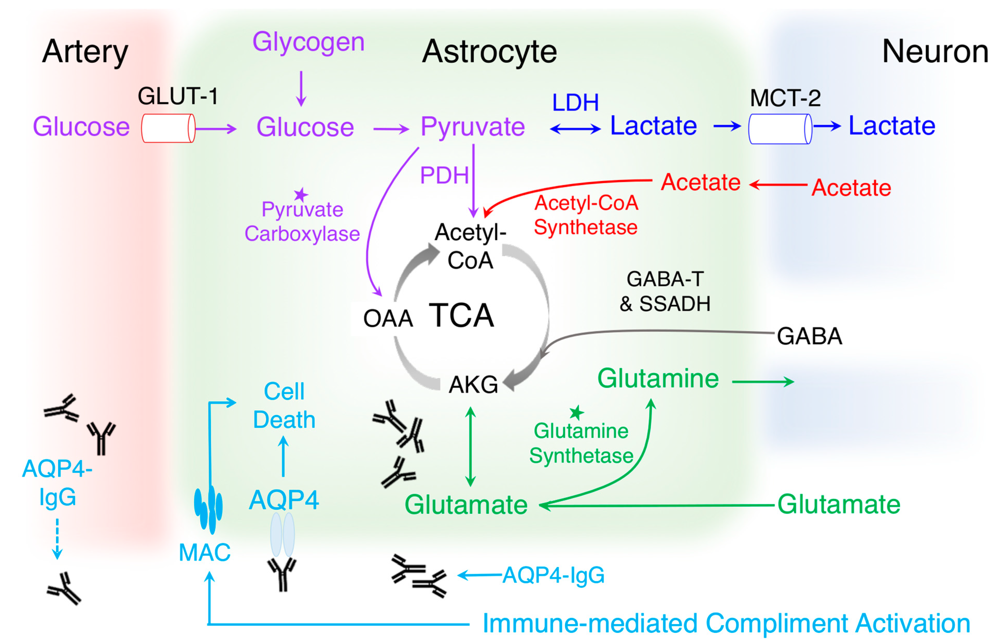 Metabolites 10 00374 g002