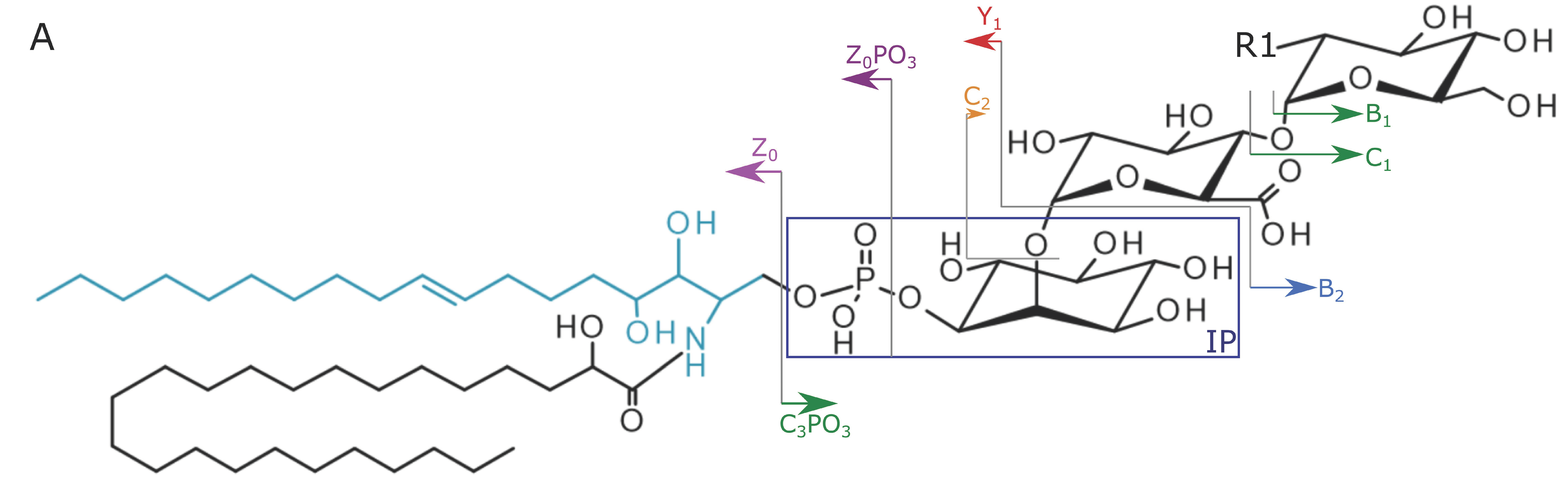 Metabolites 10 00375 g002a Metabolites 10 00375 g002a
