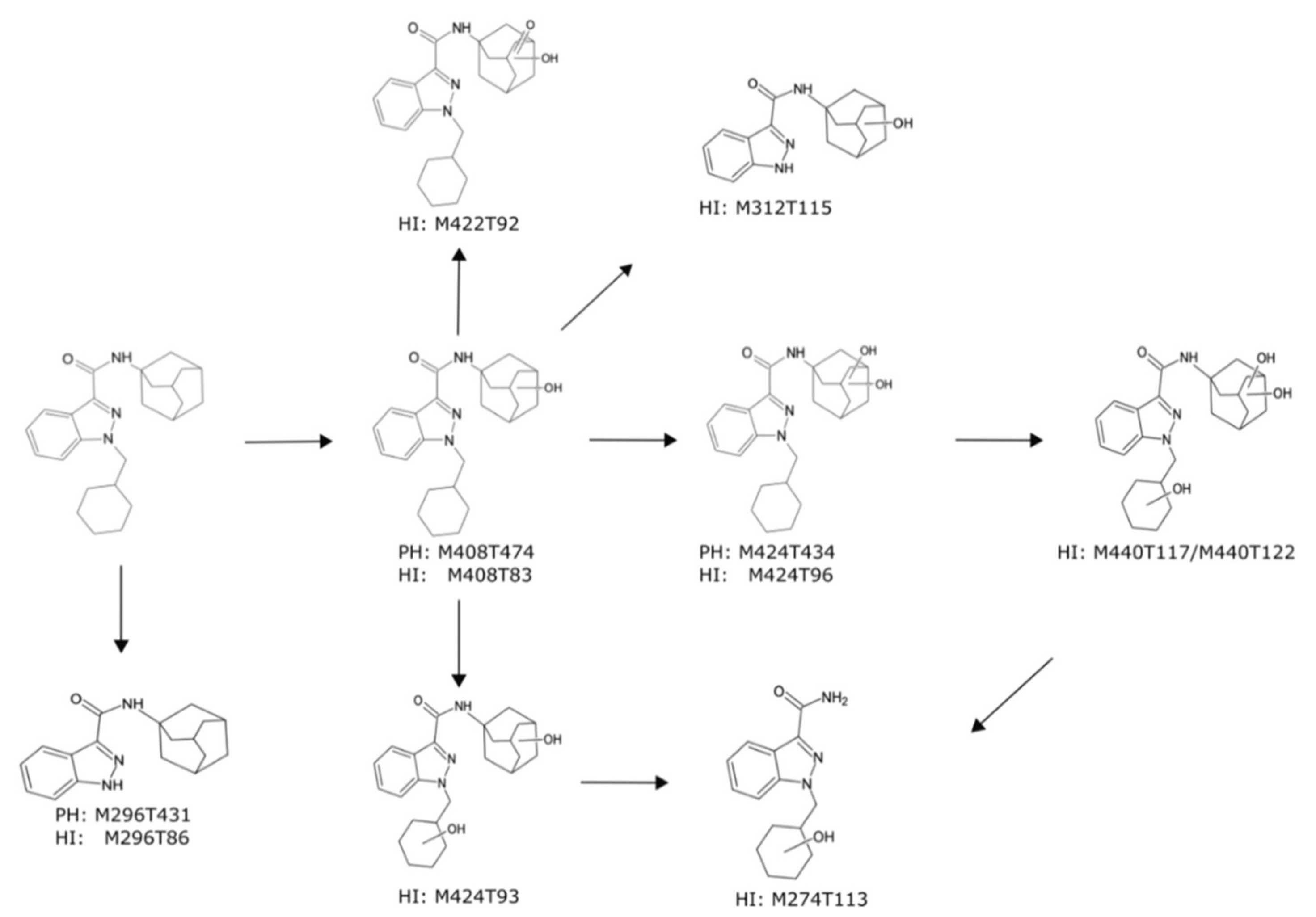 Metabolites 10 00378 g004