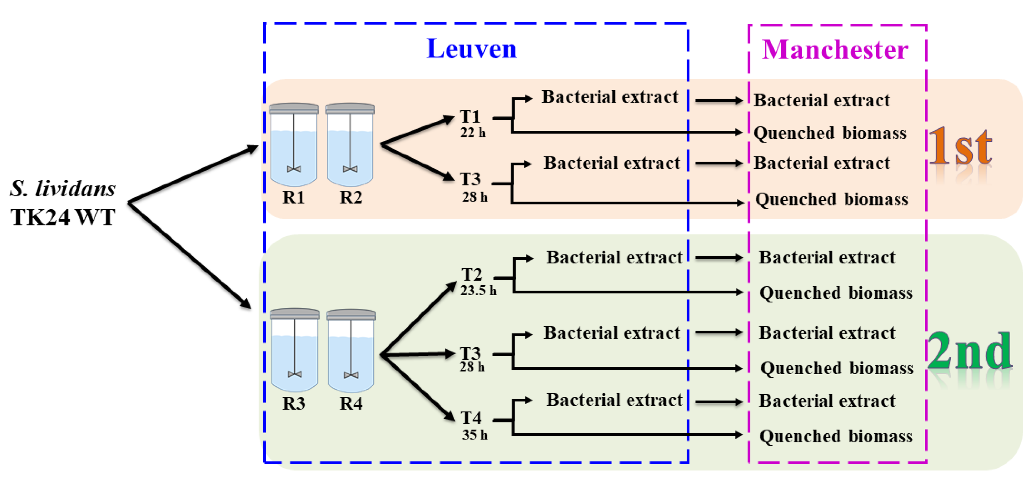 Metabolites 10 00379 g001 Metabolites 10 00379 g001