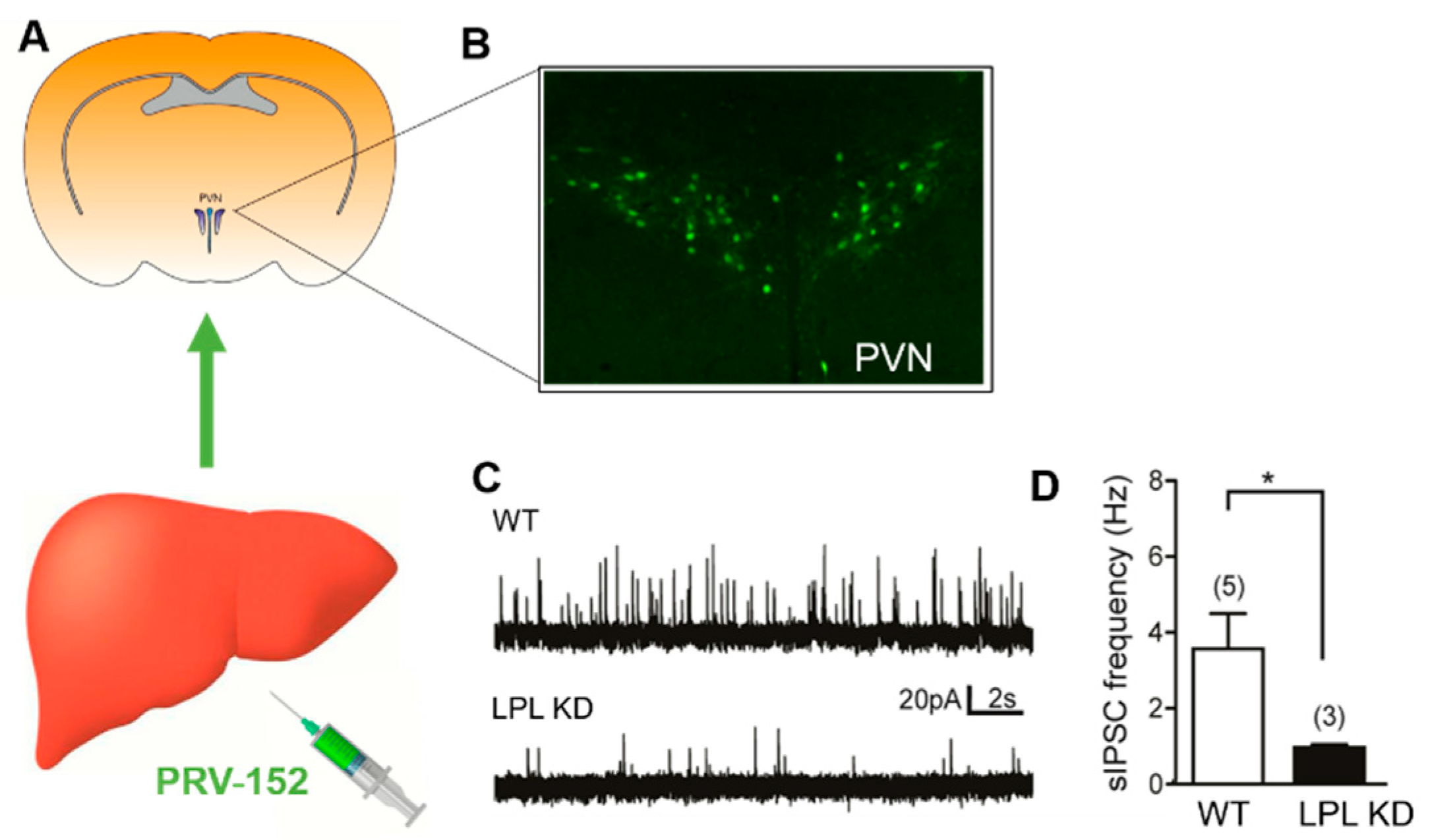 Metabolites 10 00385 g003