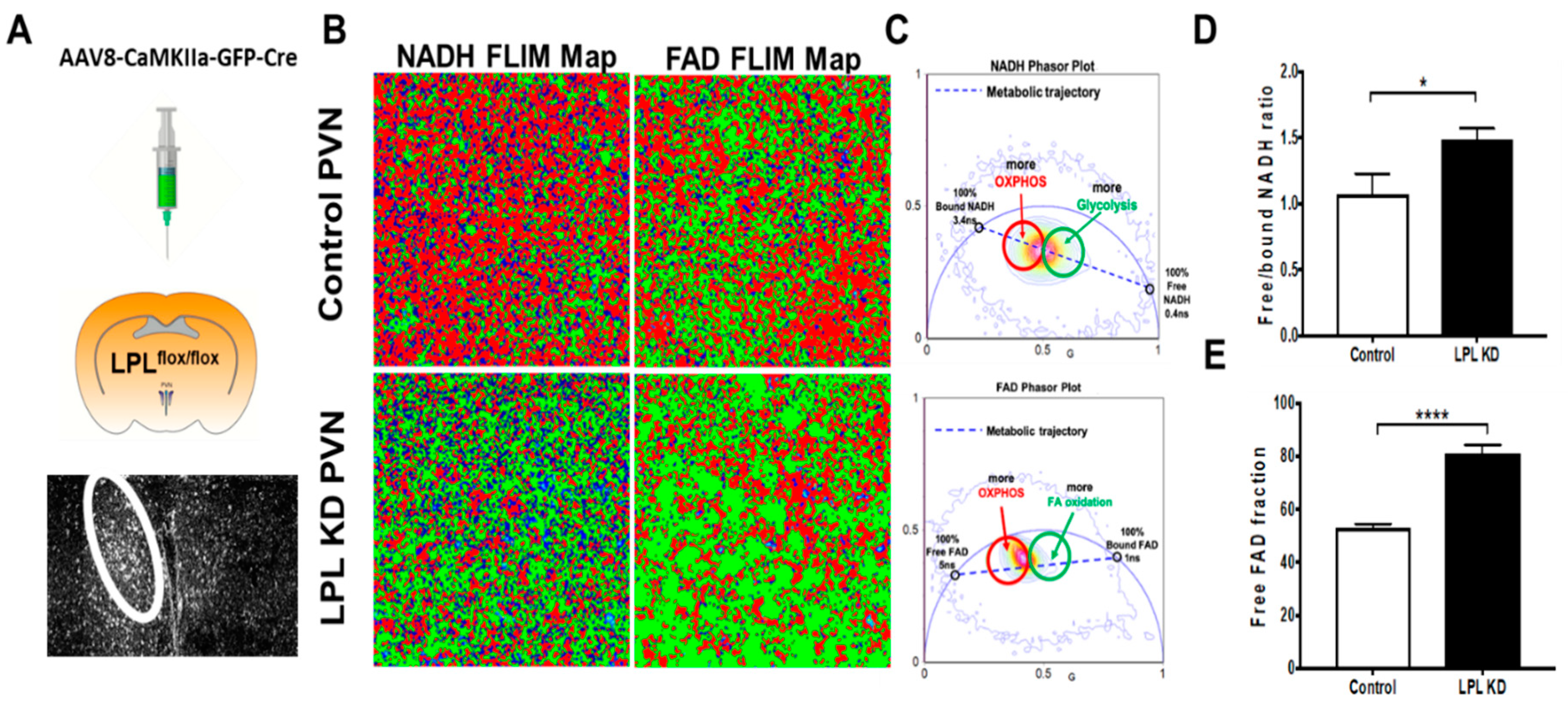 Metabolites 10 00385 g004