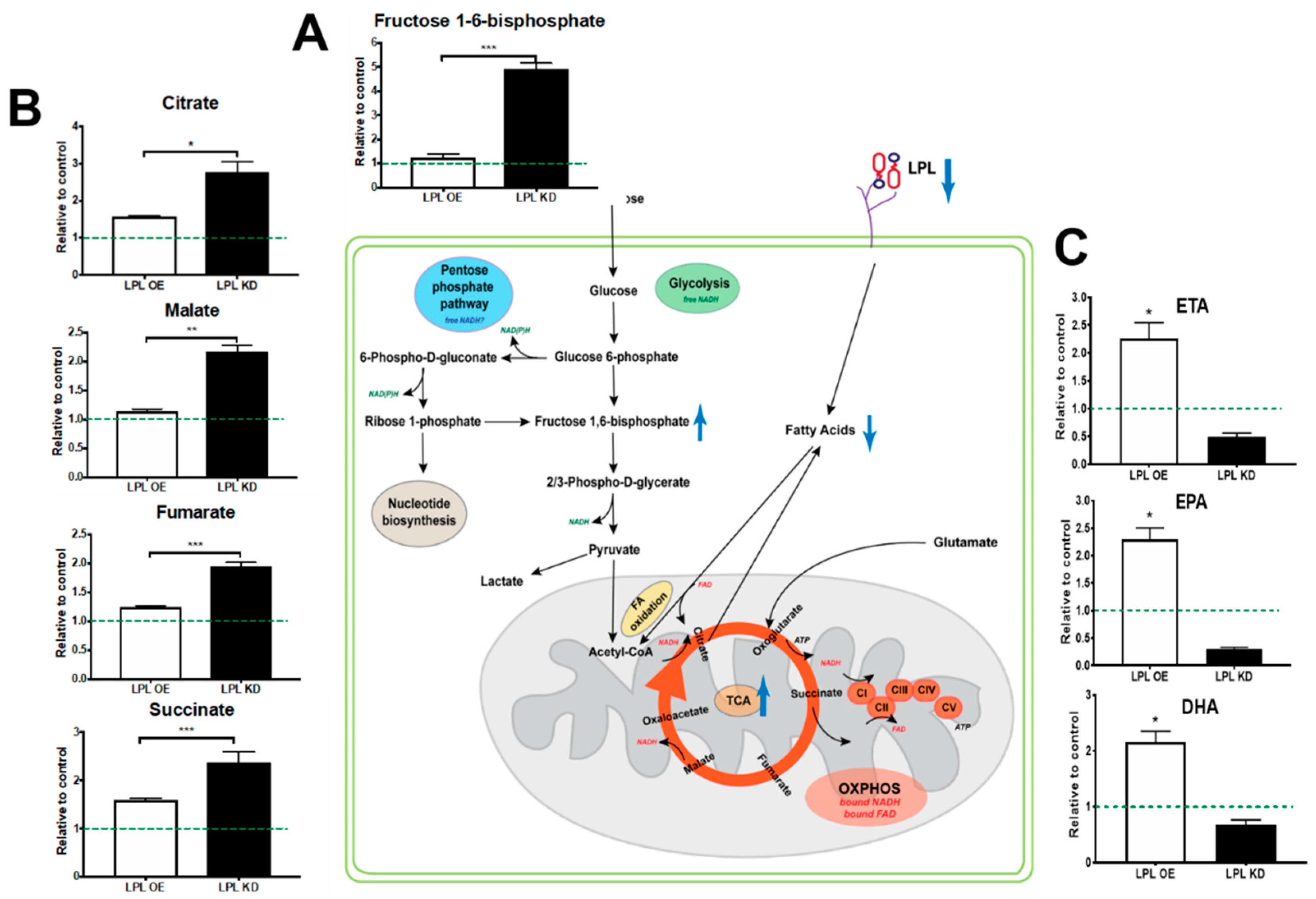Metabolites 10 00385 g005