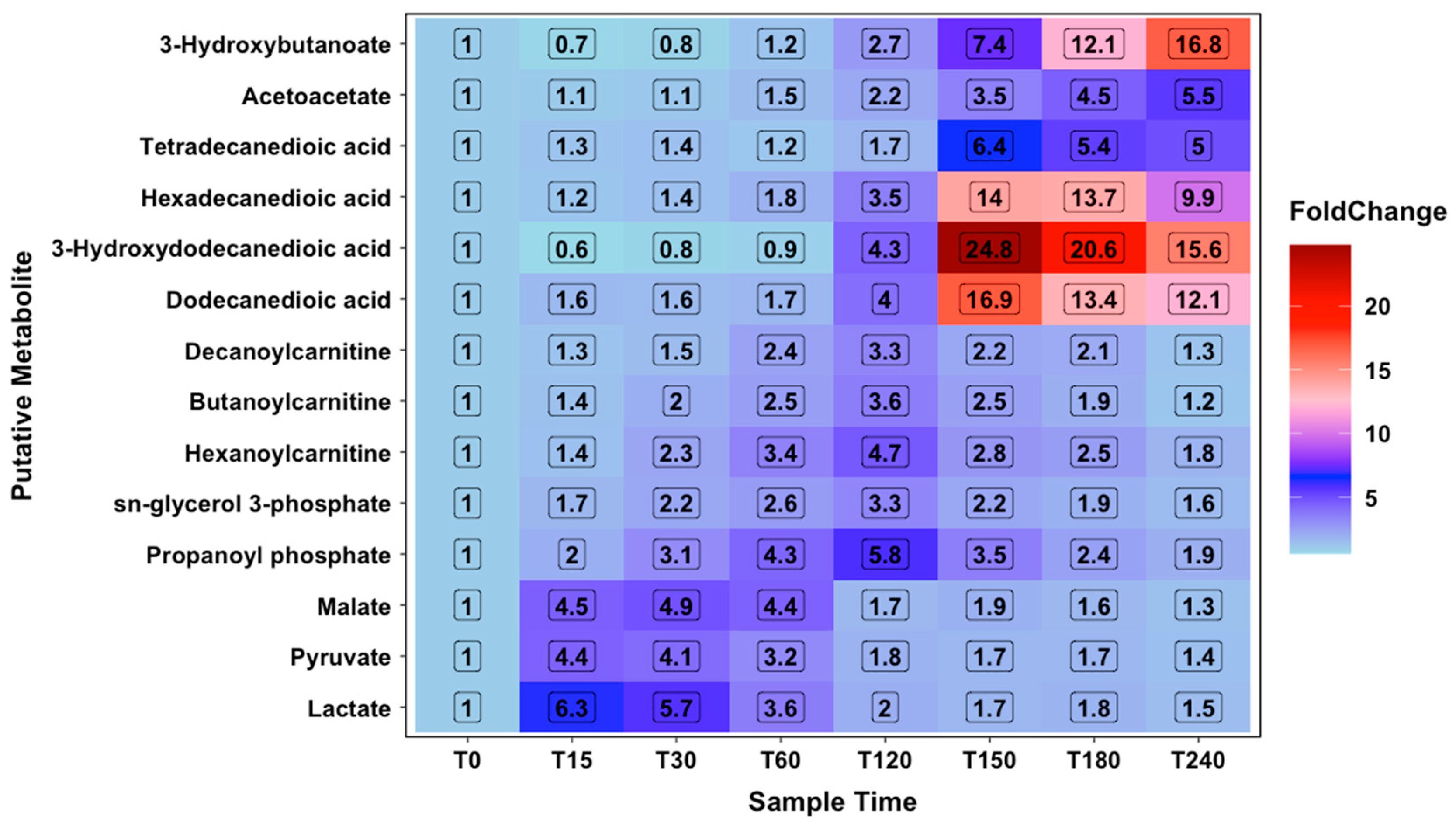 Metabolites 10 00399 g004