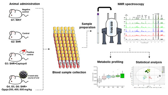 Metabolites 10 00404 g001 550