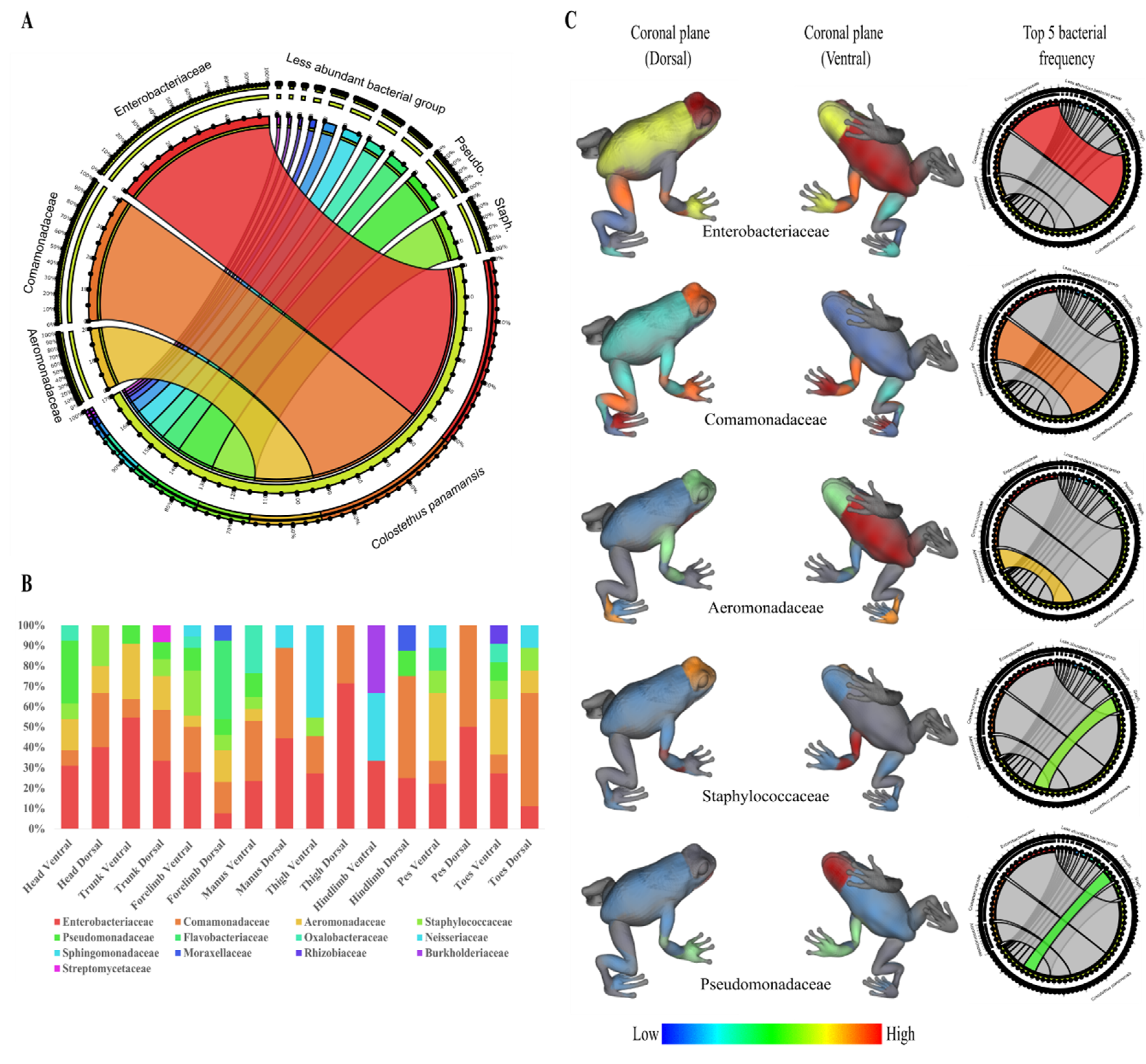 Metabolites 10 00406 g001