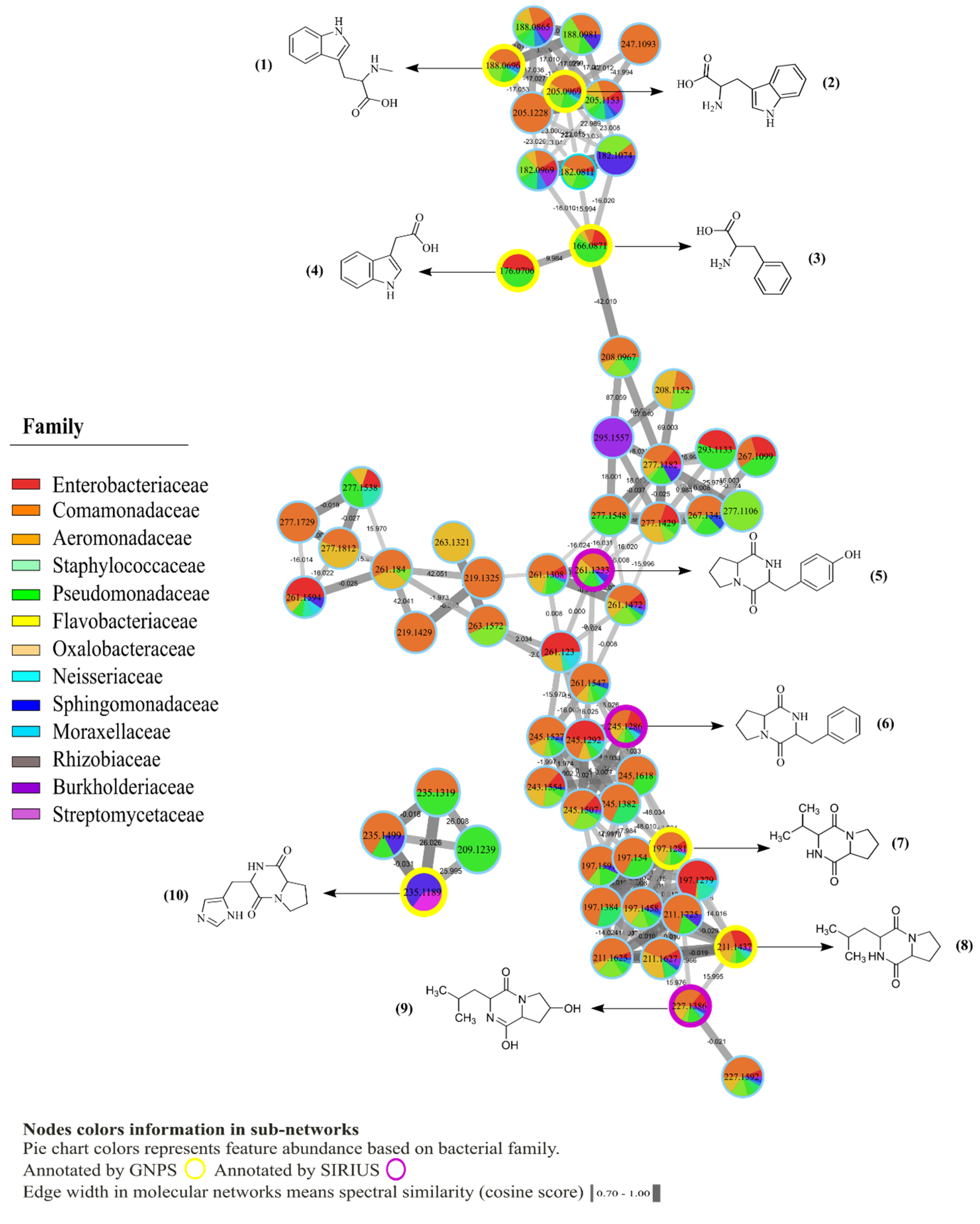 Metabolites 10 00406 g002
