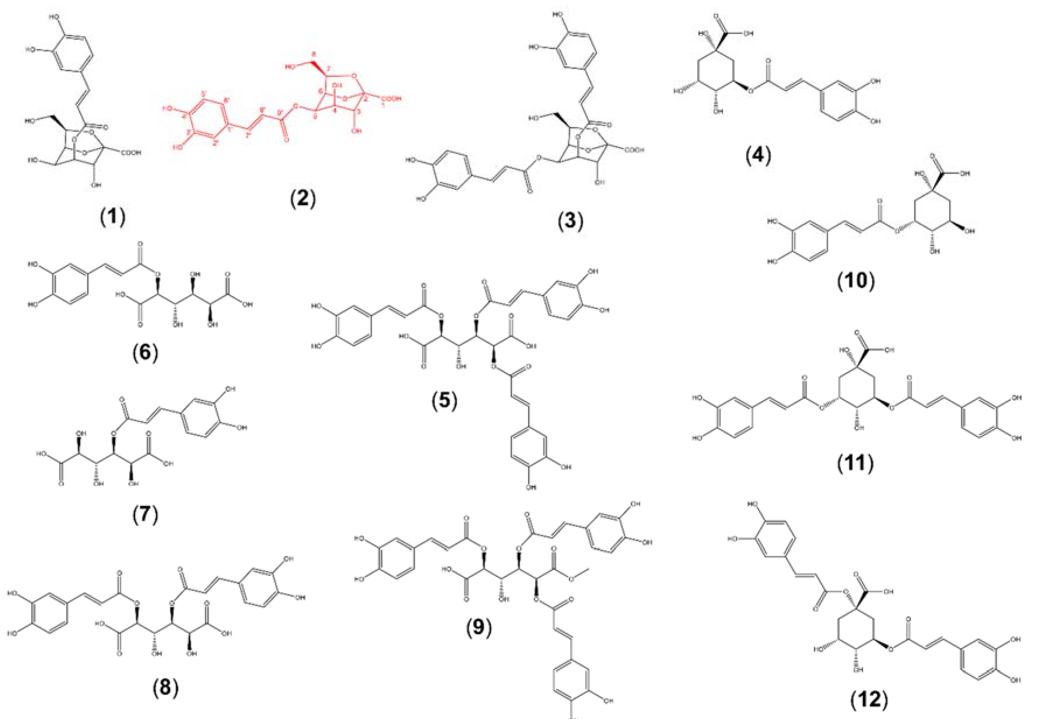Metabolites 10 00407 g002