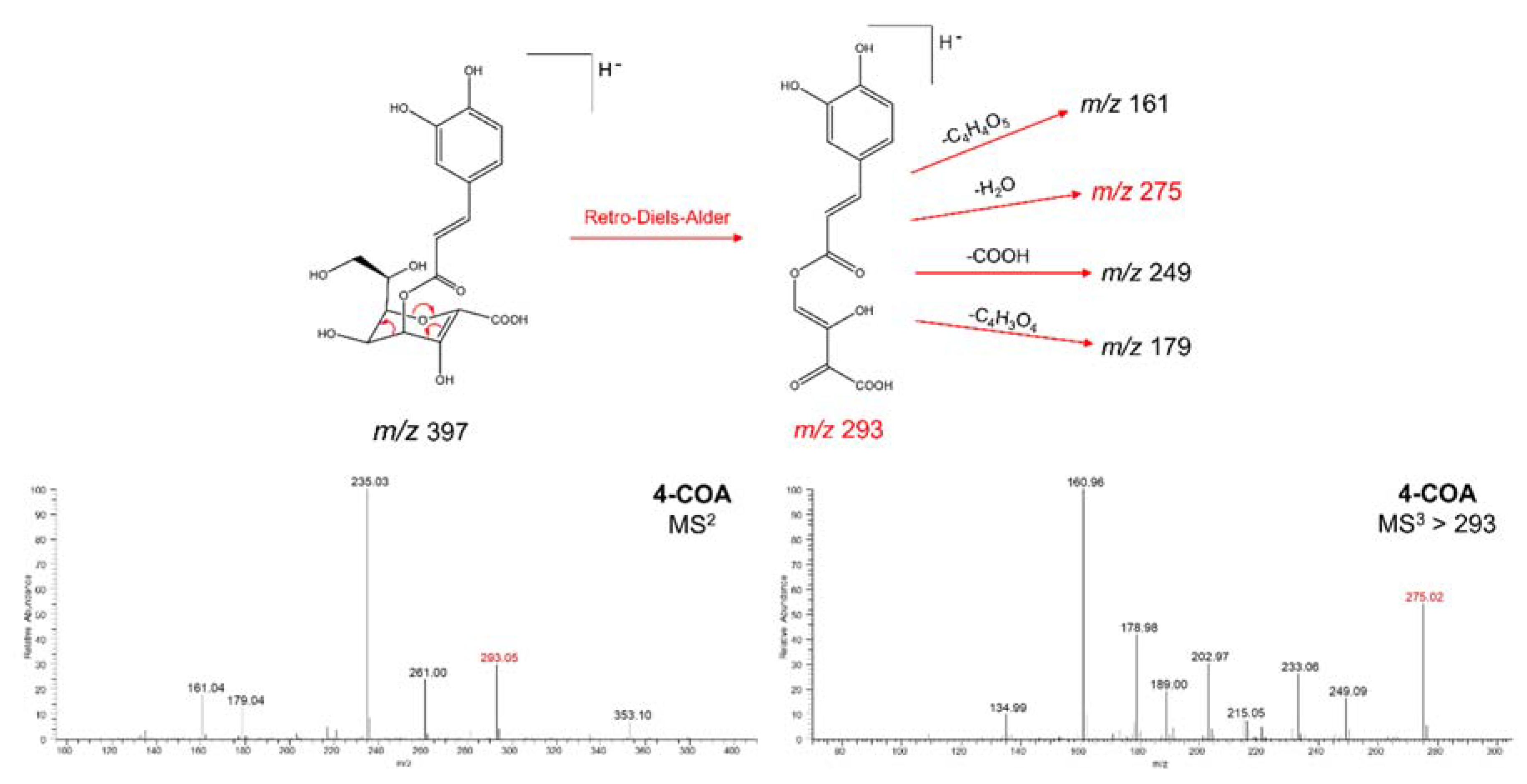 Metabolites 10 00407 g004