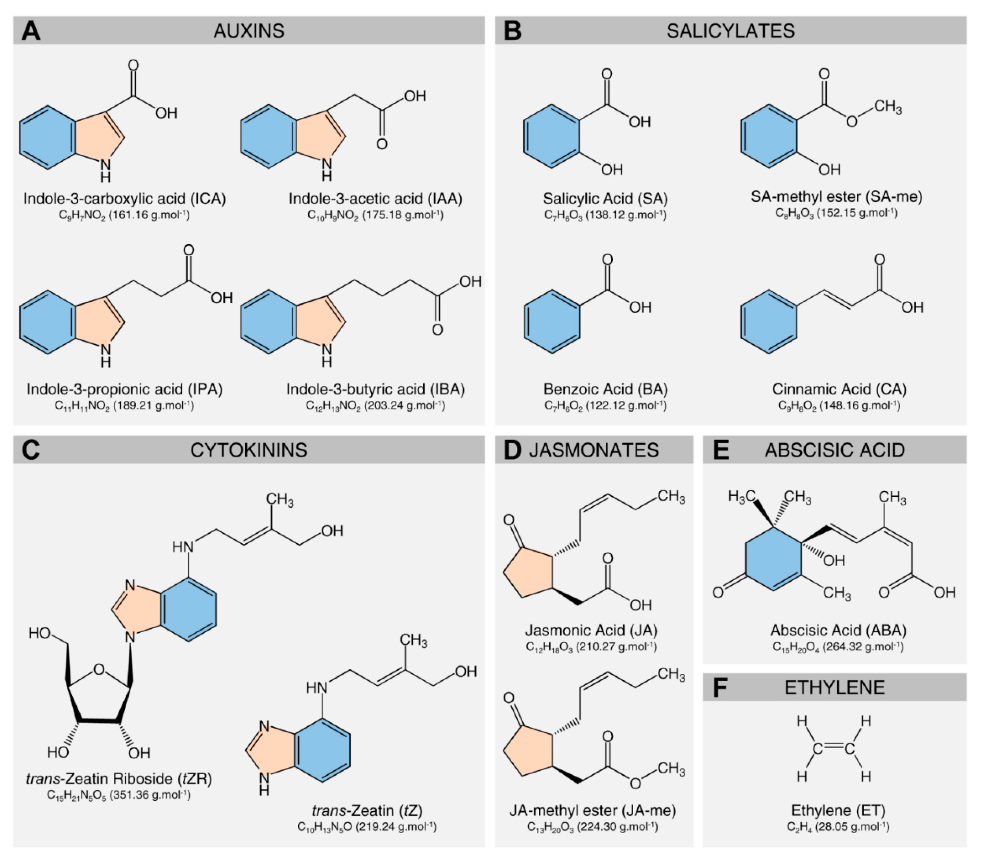 Metabolites 10 00409 g002