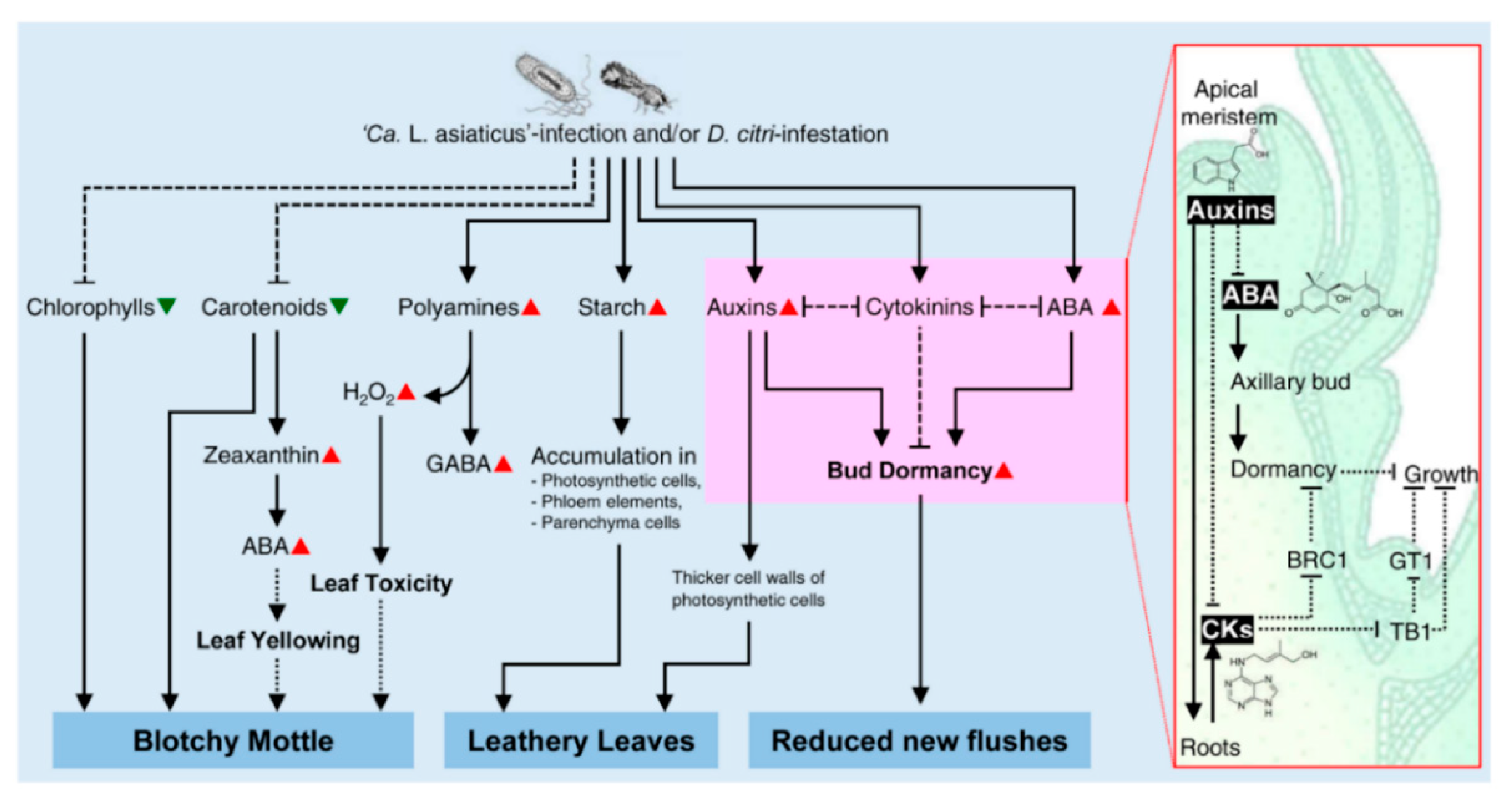Metabolites 10 00409 g003