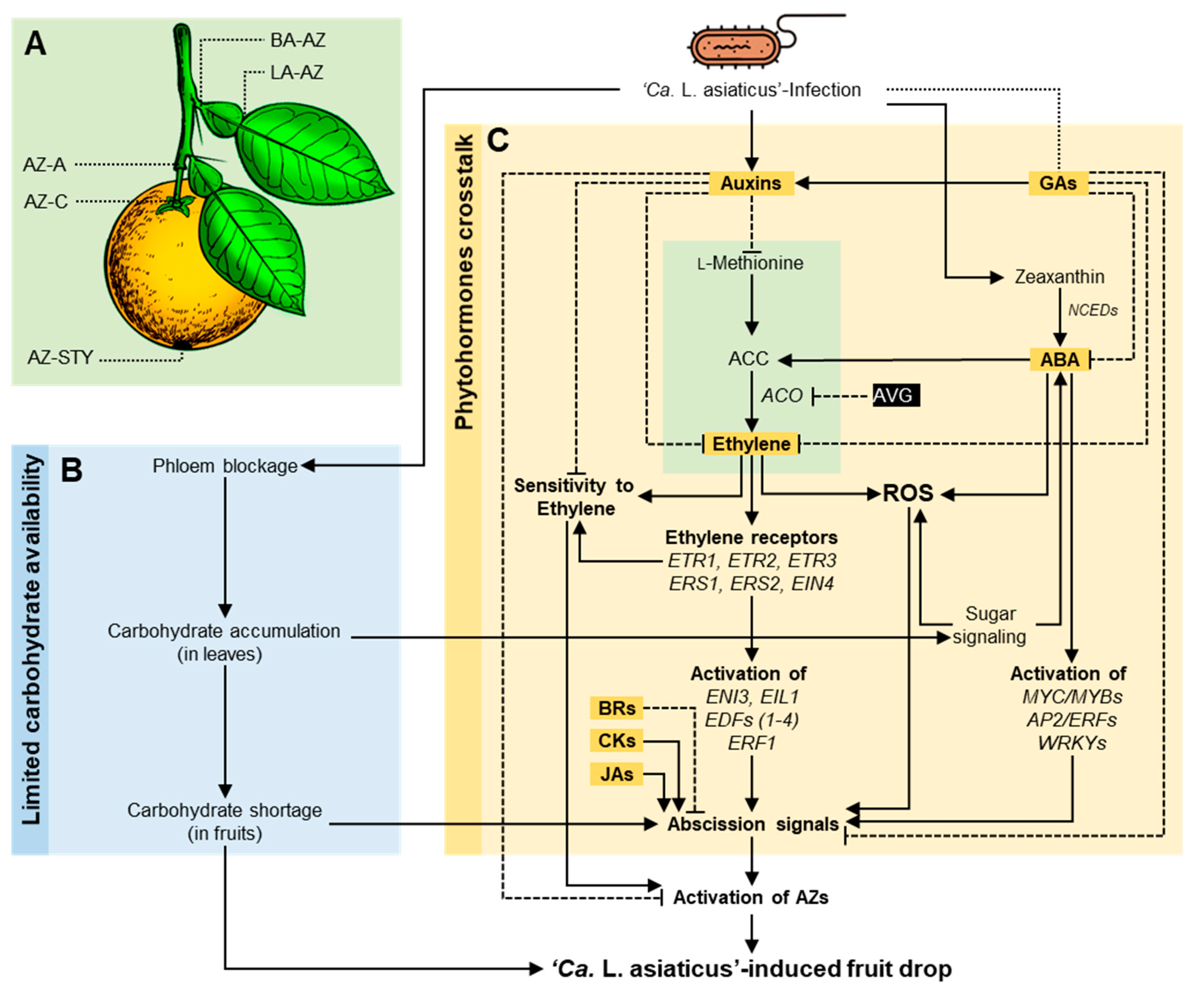 Metabolites 10 00409 g005