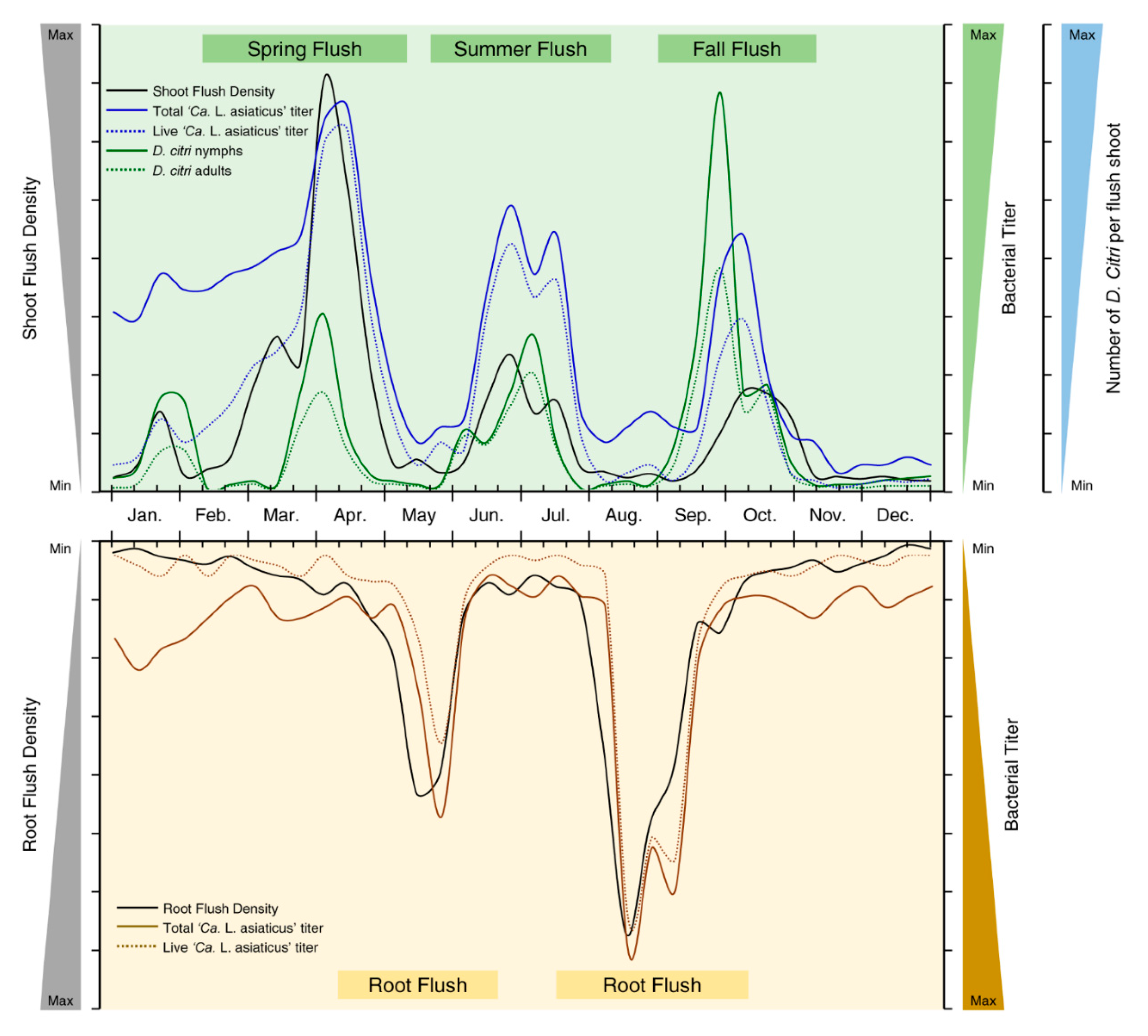 Metabolites 10 00409 g006