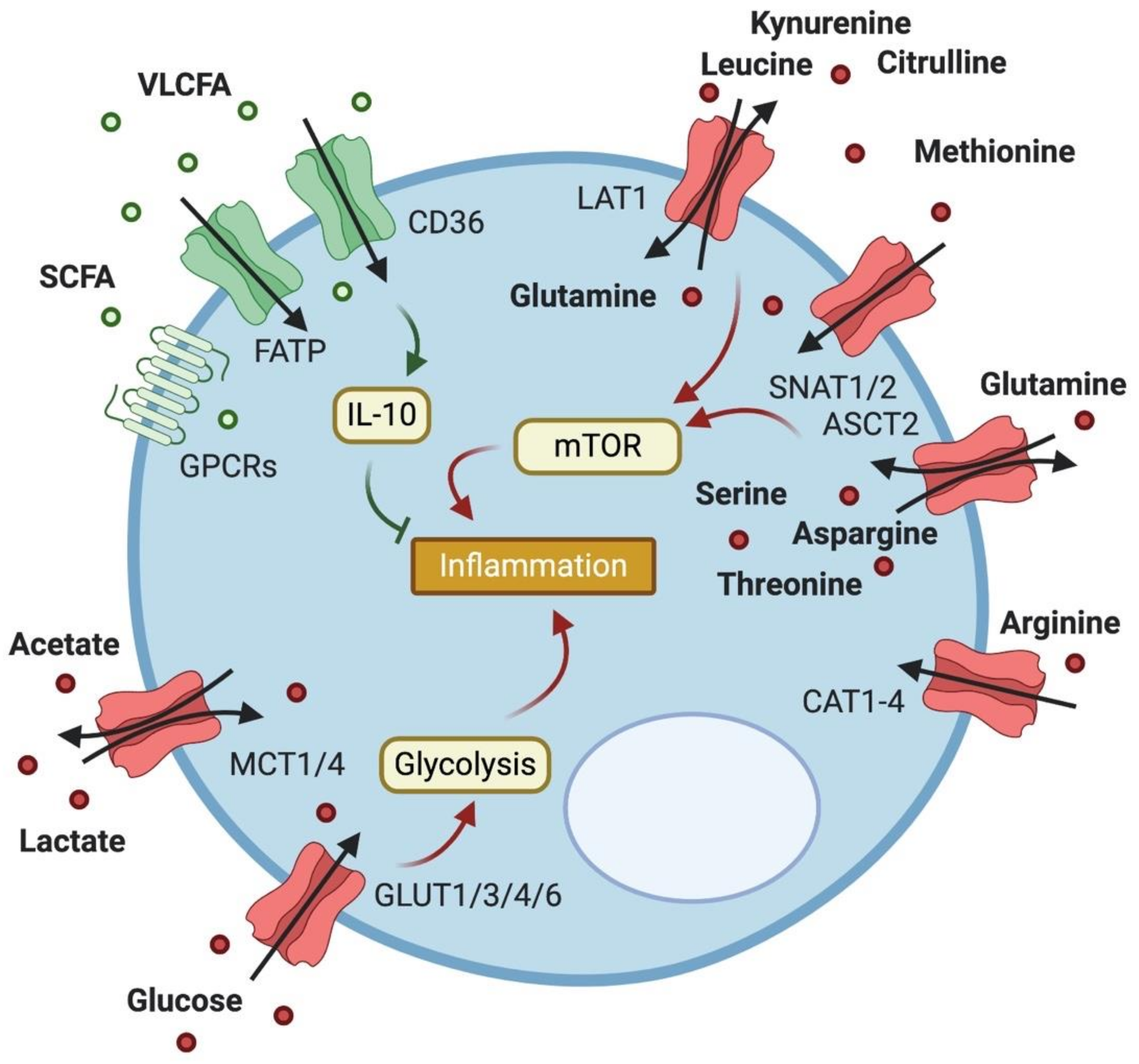 Metabolites 10 00418 g001 Metabolites 10 00418 g001