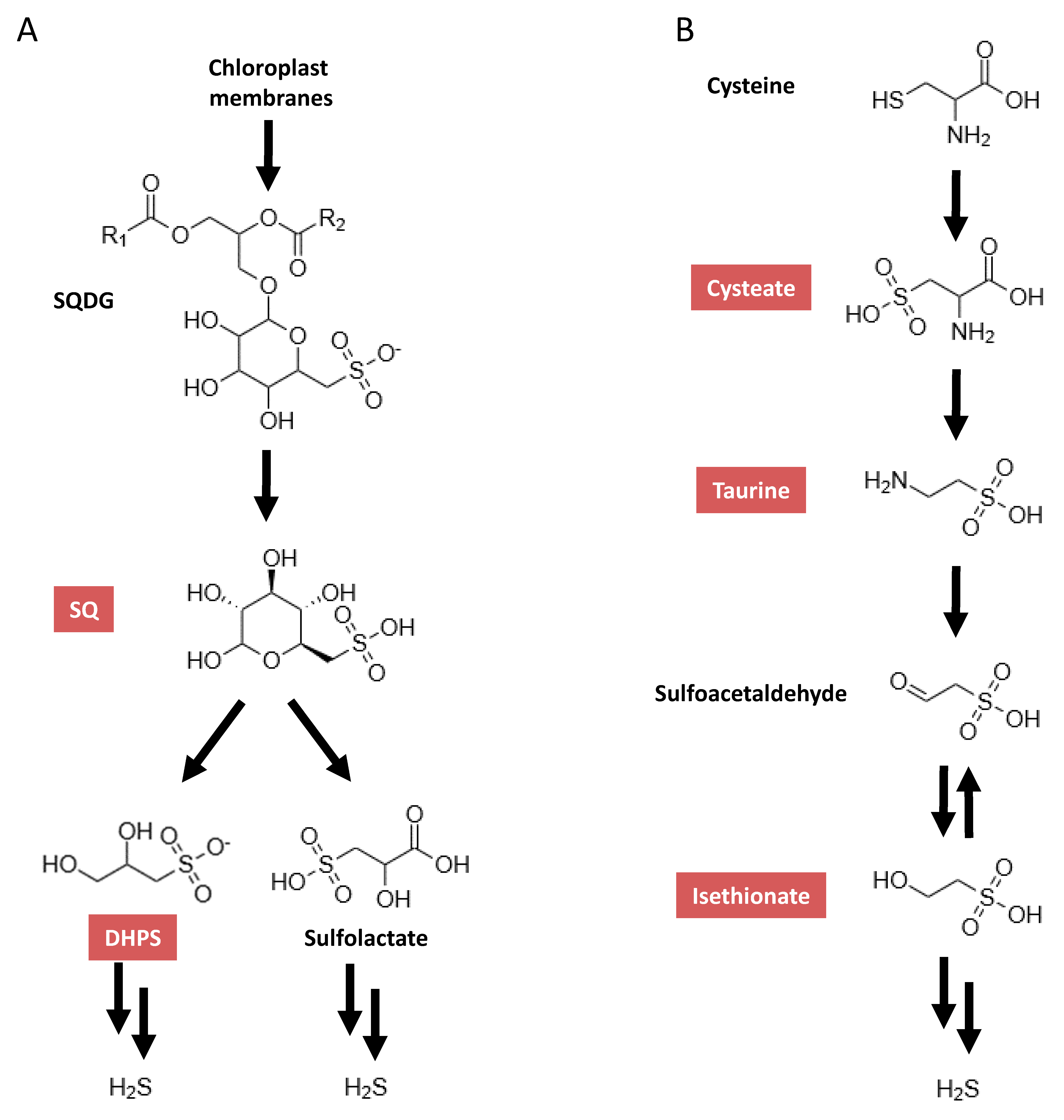 Metabolites 10 00430 g001 Metabolites 10 00430 g001