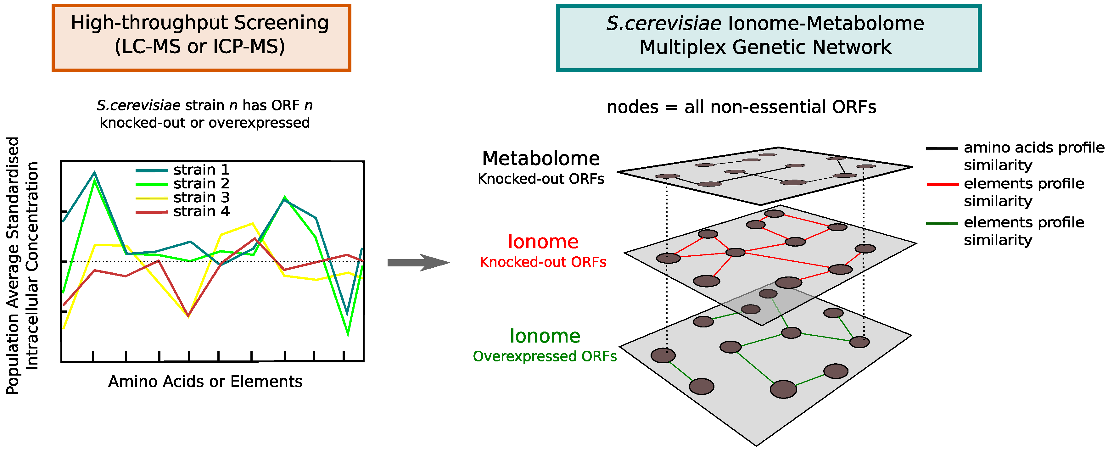 Metabolites 10 00435 g003