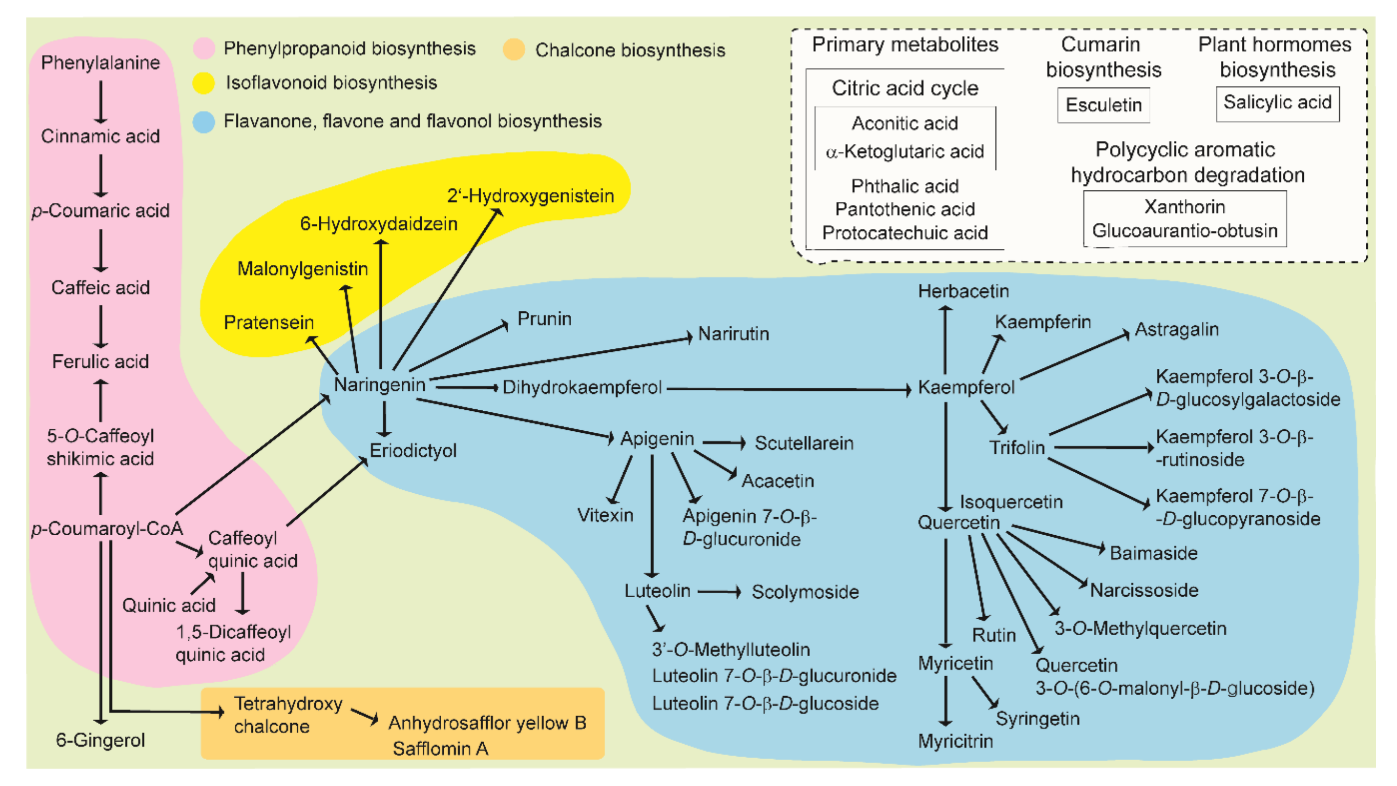 Metabolites 10 00440 g005